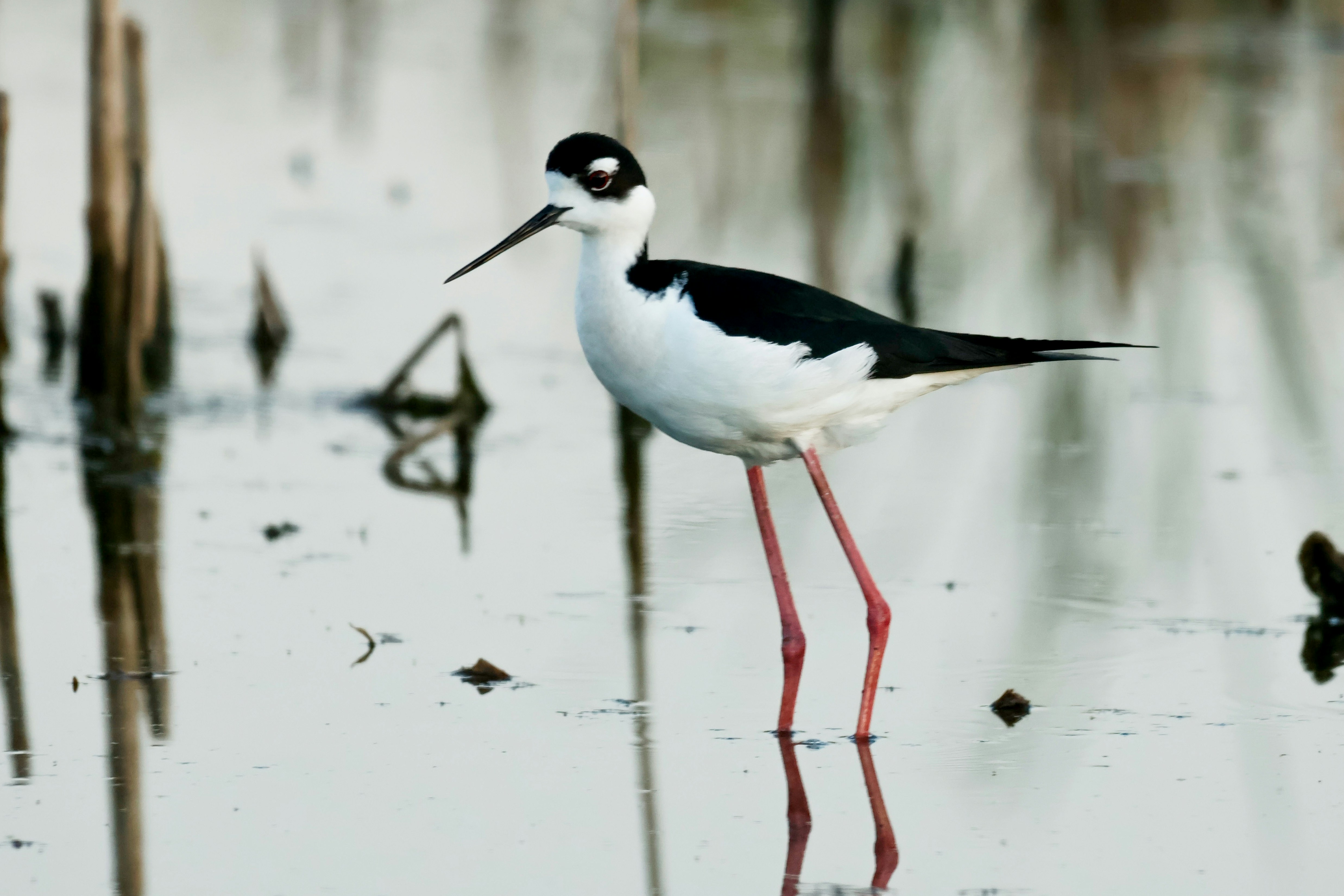 Photo by naturelensephotographer