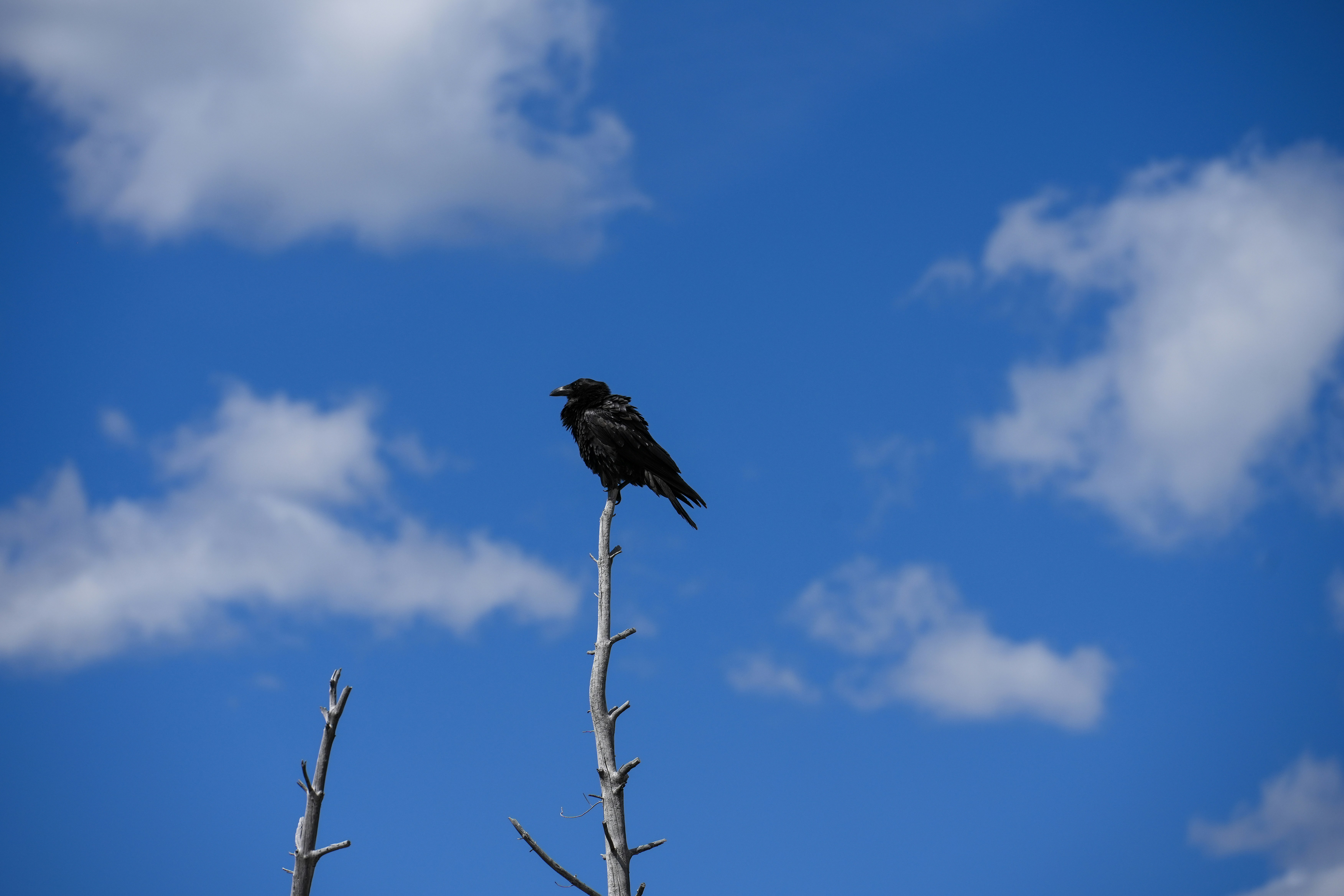 Photo by heatonthetrail