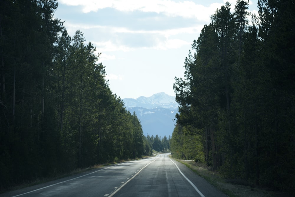 a long road with trees and mountains in the background