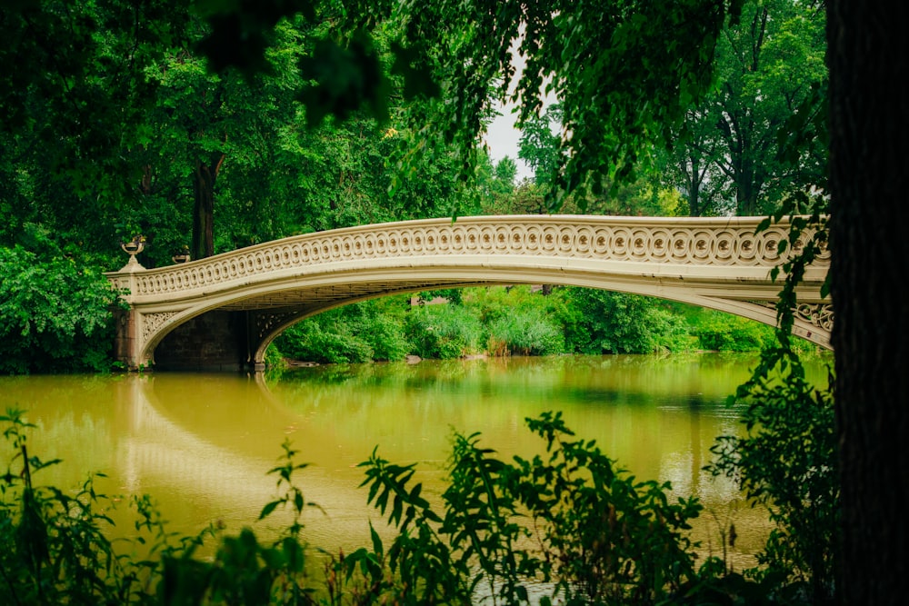 a bridge over a body of water surrounded by trees