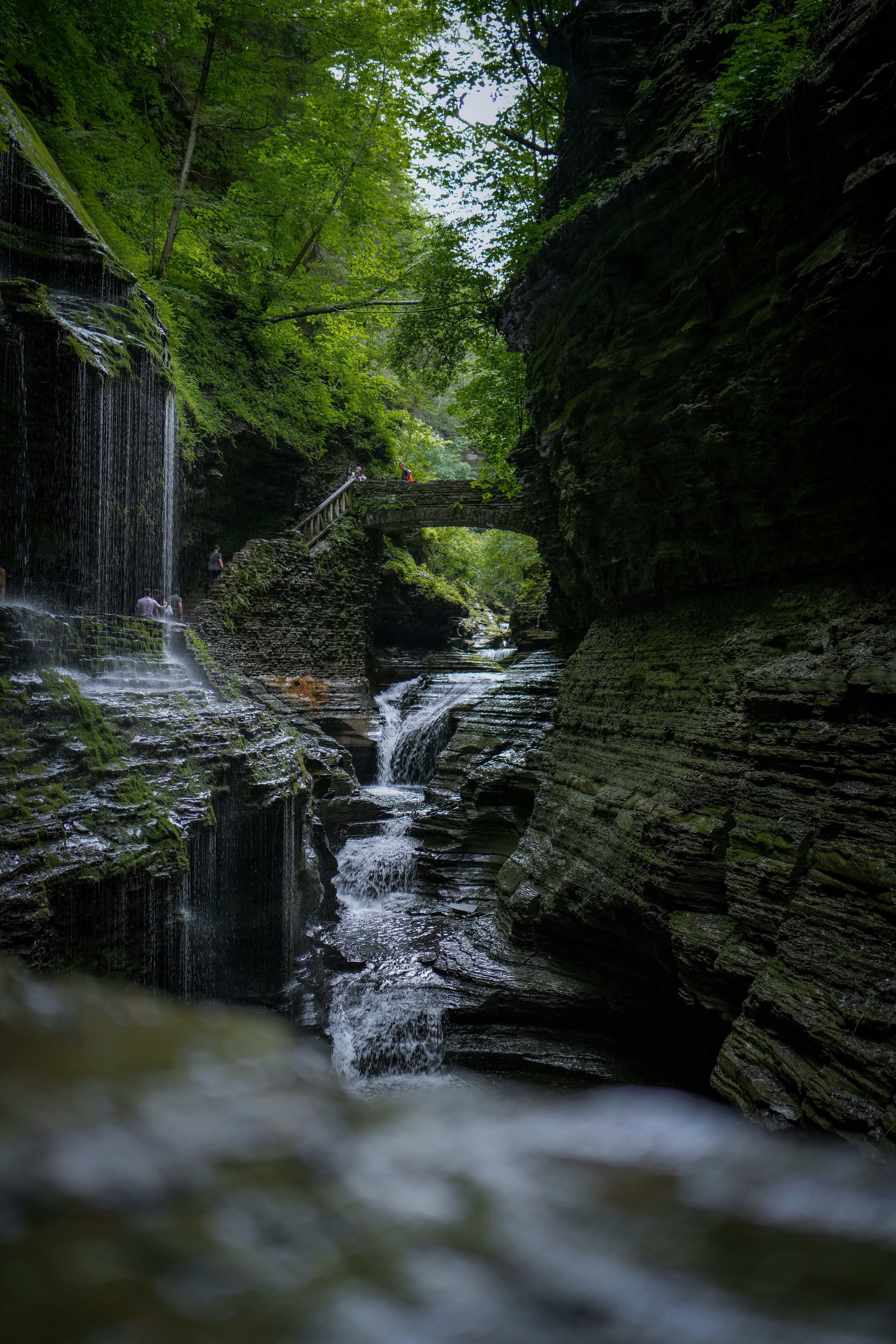 Photo by everestblendphotography