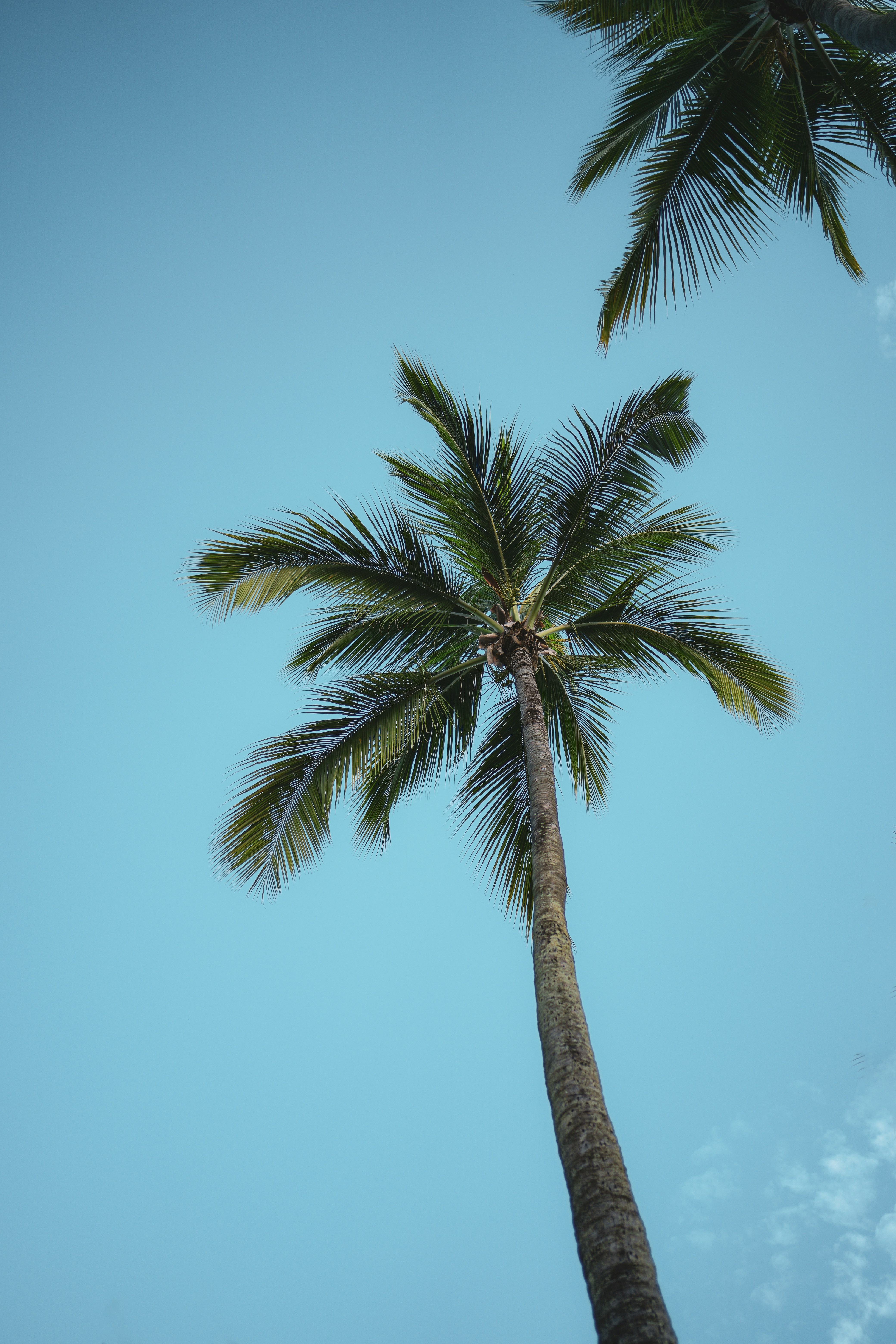 Photo by everestblendphotography