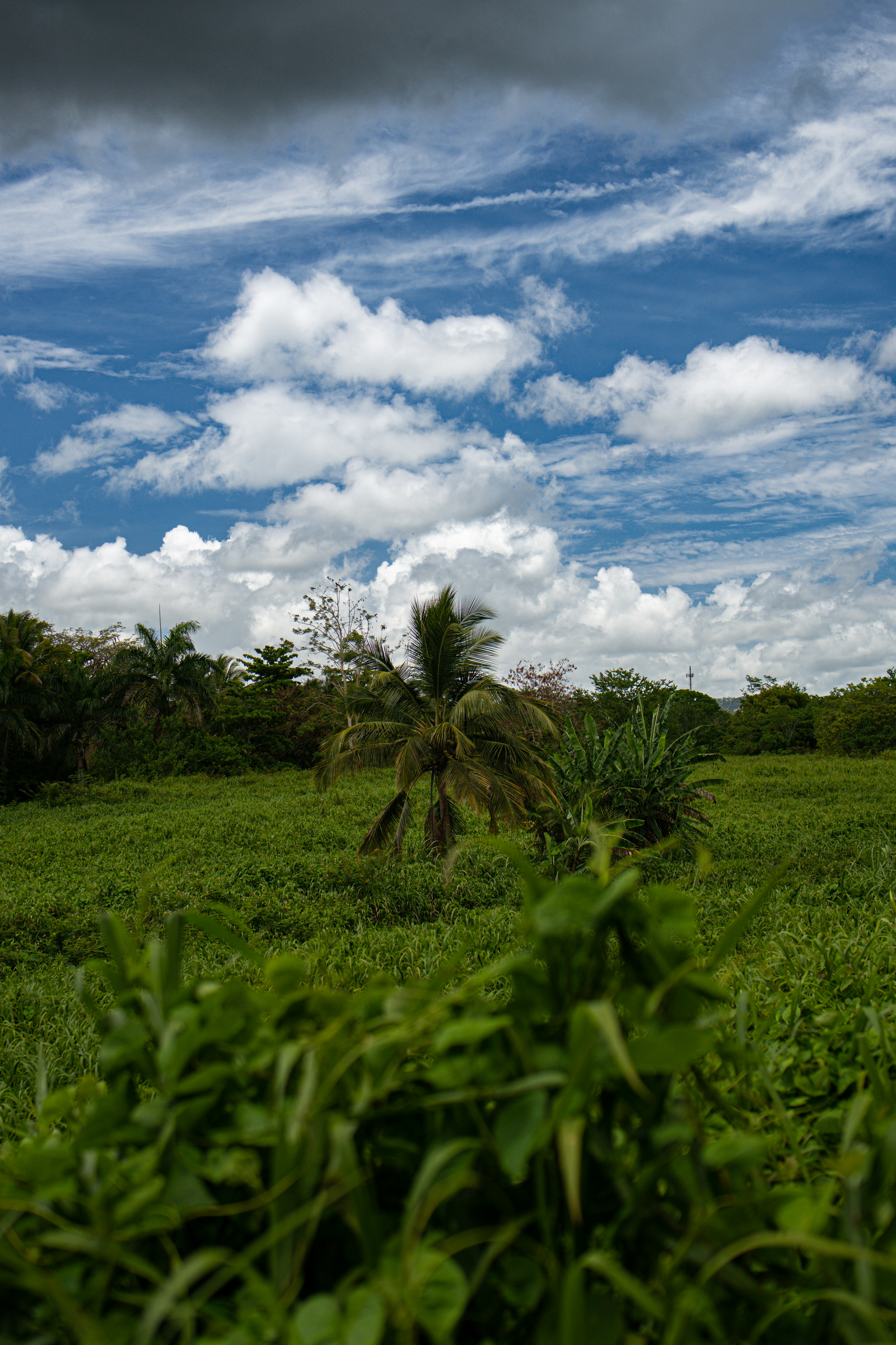 Photo by everestblendphotography