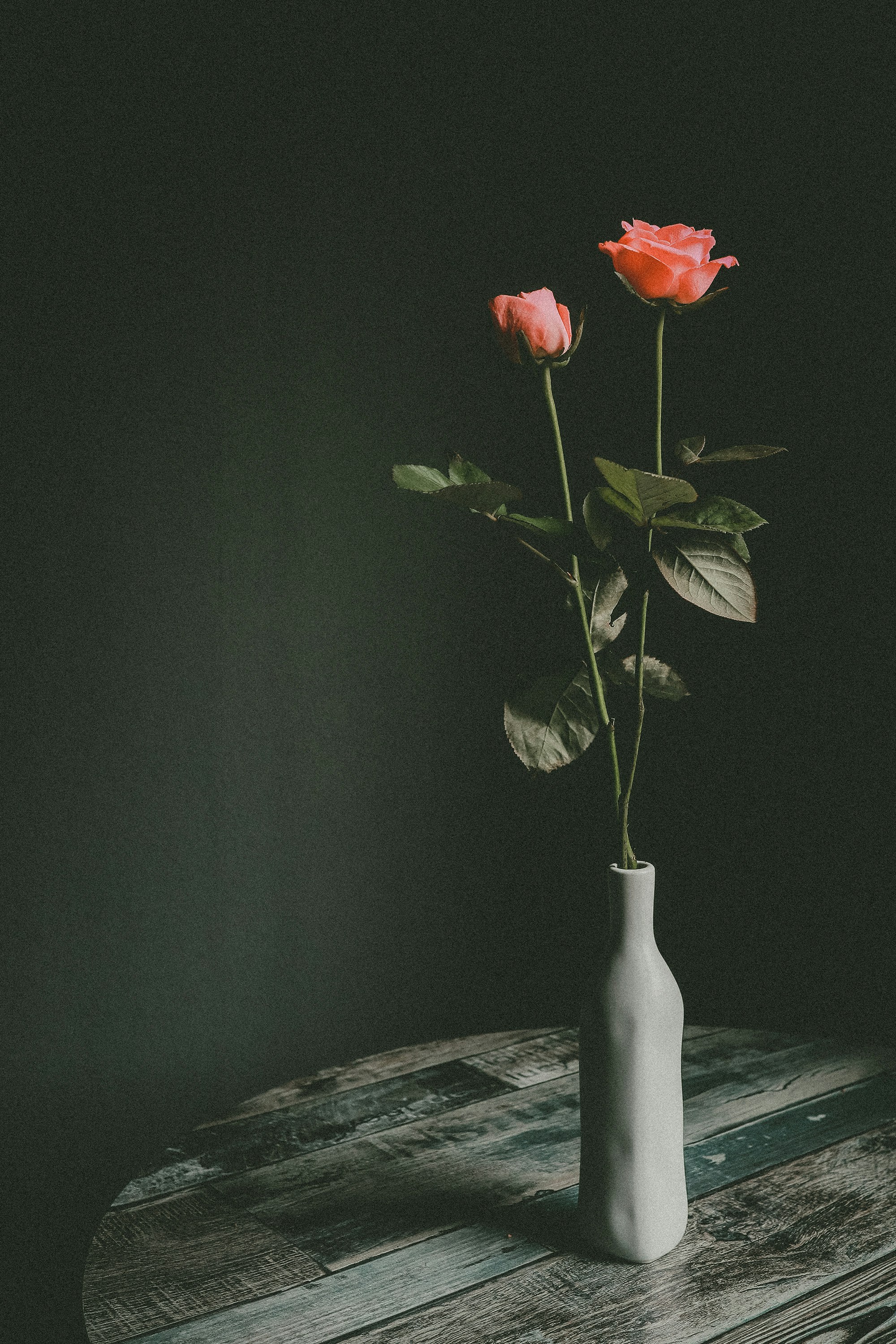 Photo by babybluecat