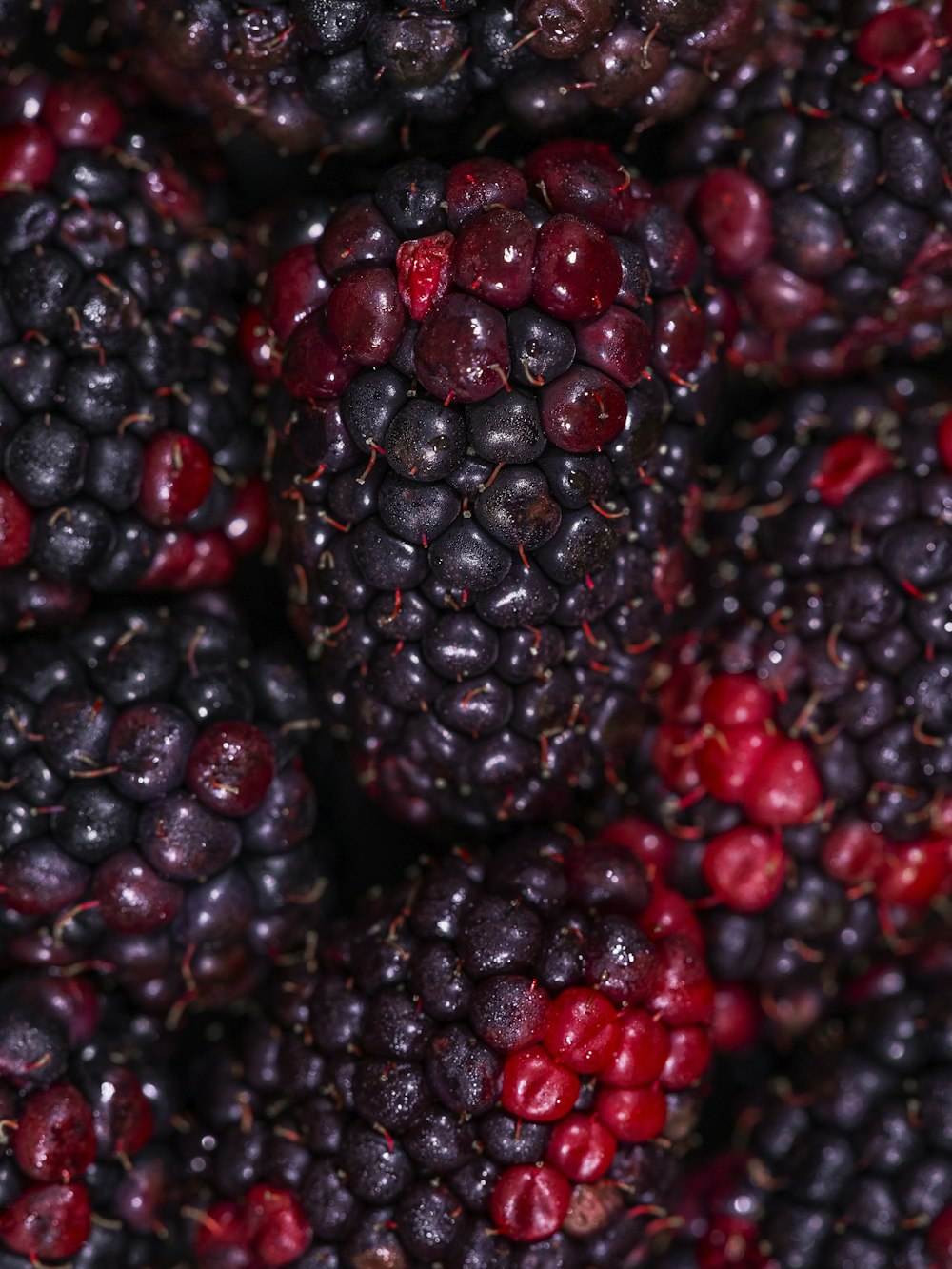 a close up of a bunch of berries