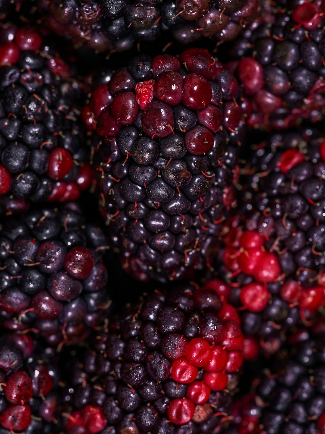 healthy and delicious blackberry