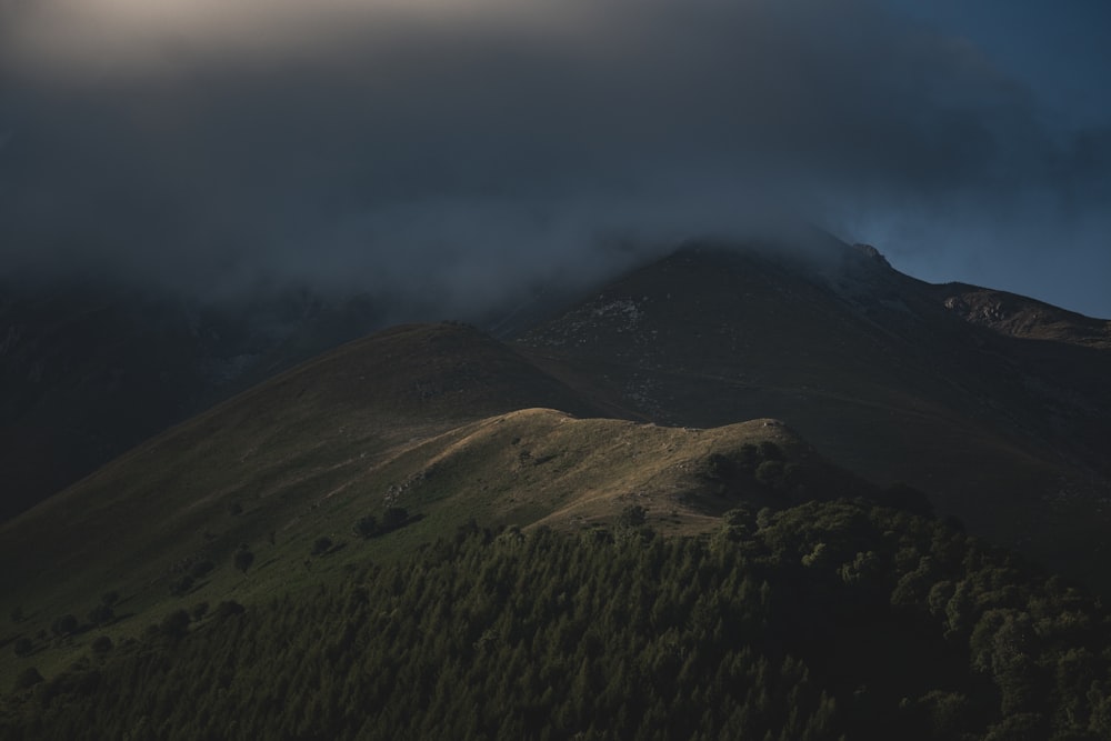 a mountain covered in clouds and trees under a cloudy sky