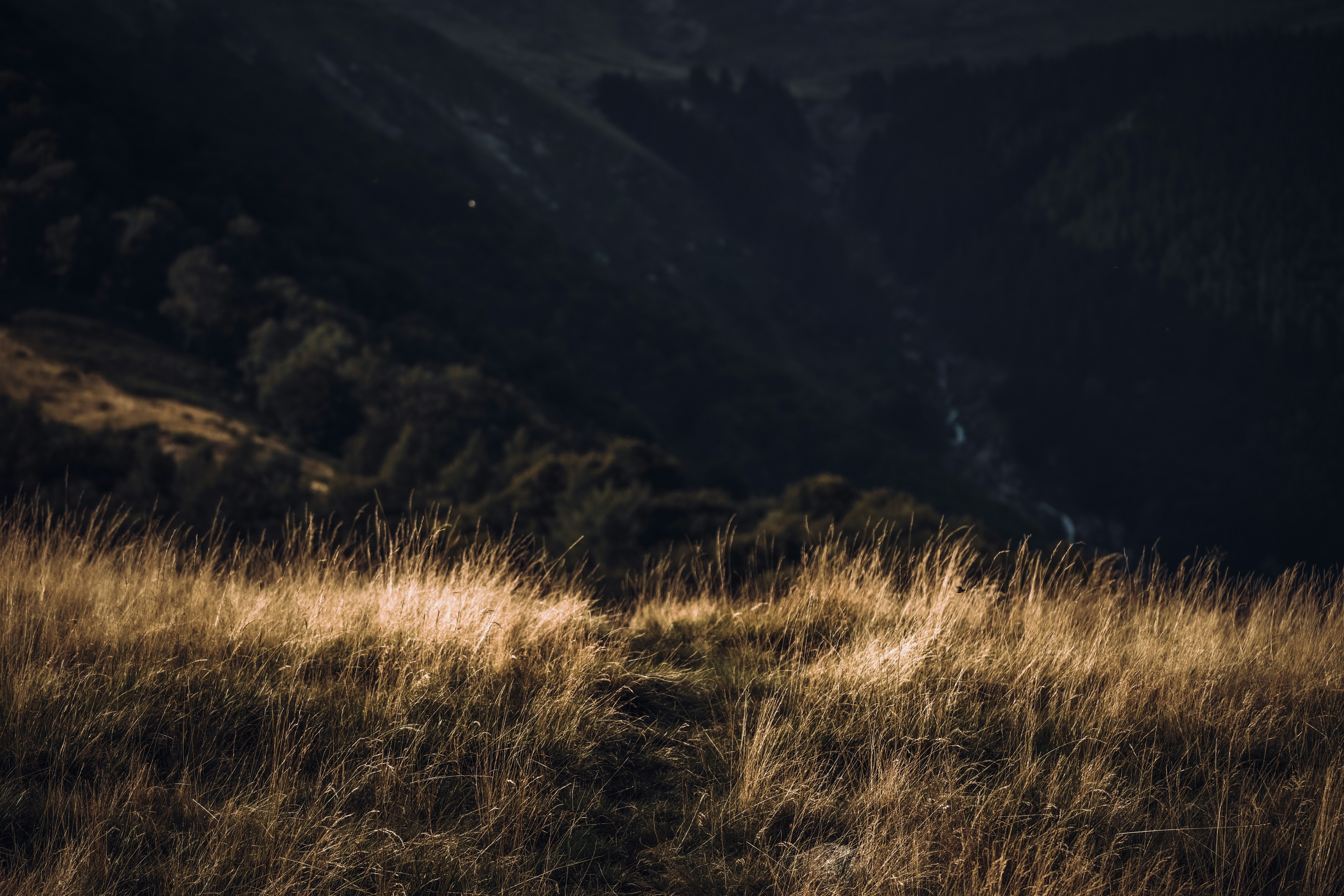 Photo by francesco_ungaro