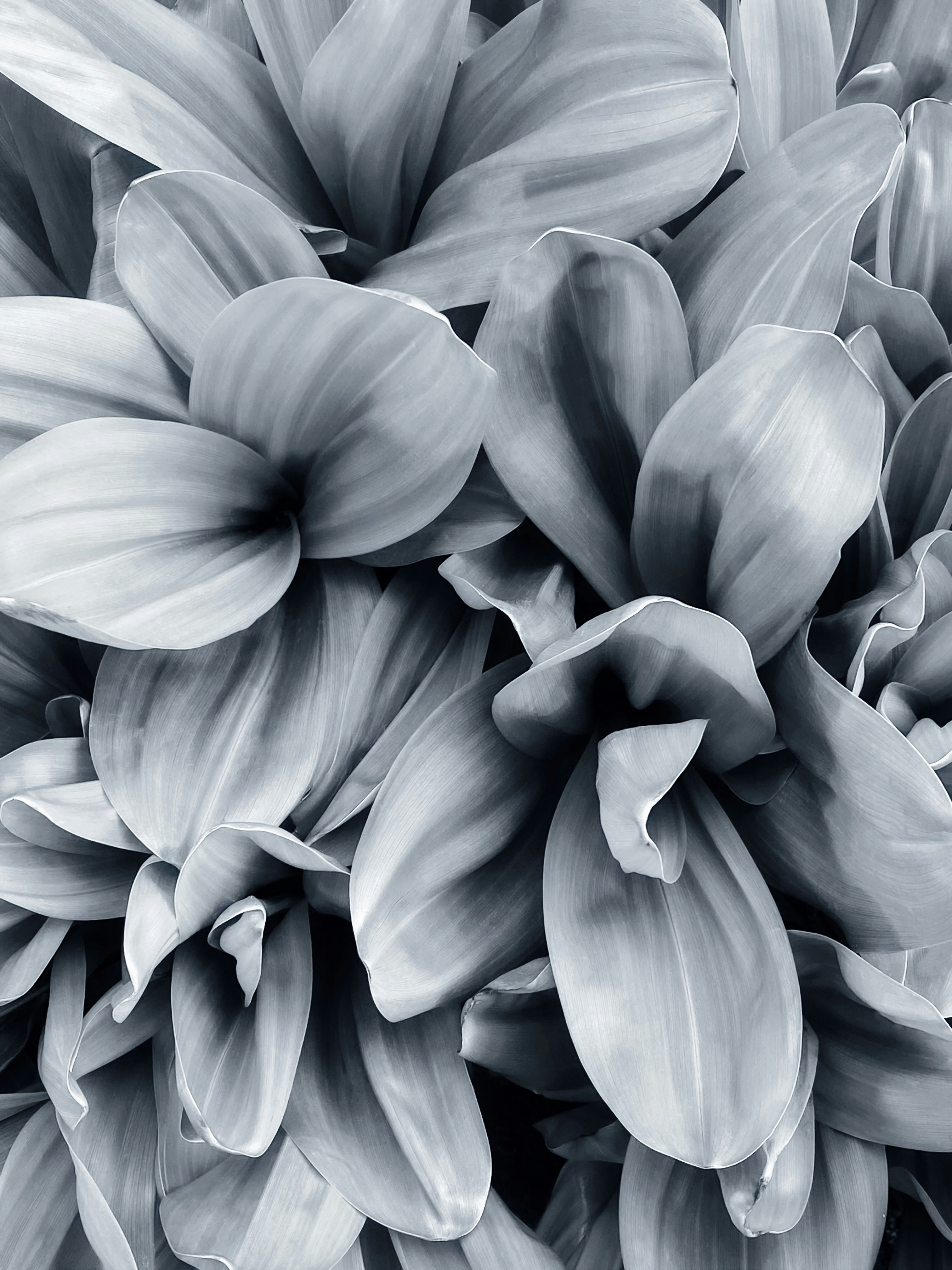 Photo by eugene_golovesov