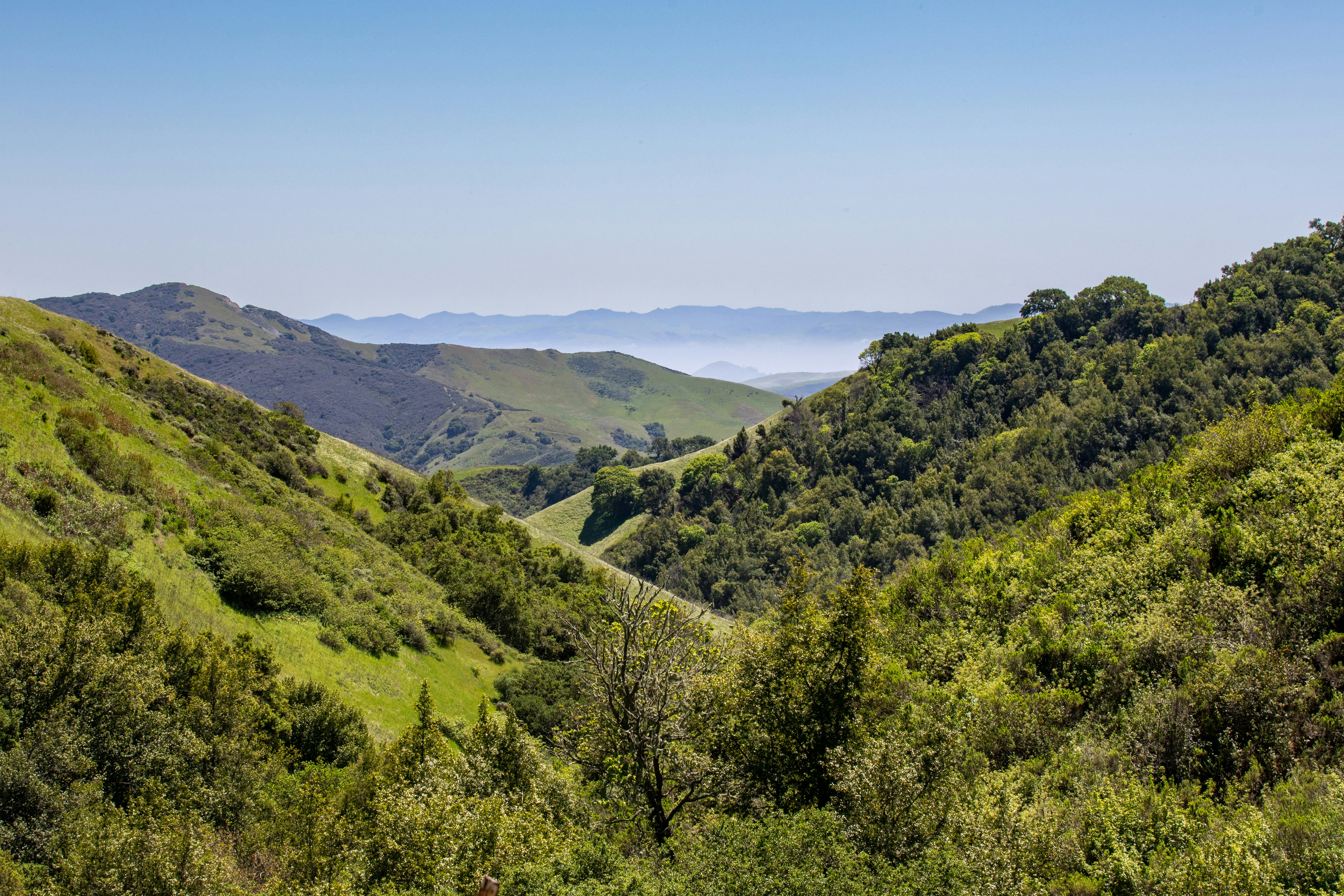 Save Valley Conservancy