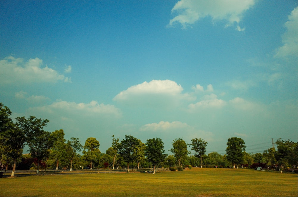 a grassy field with trees and a blue sky in the background