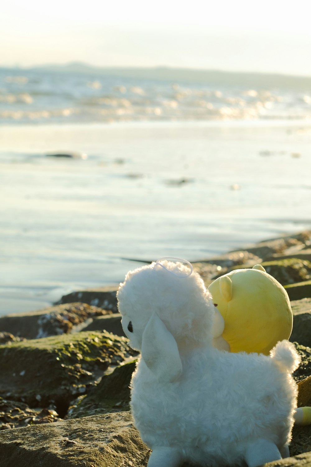 un peluche blanco sentado en la parte superior de una playa de arena