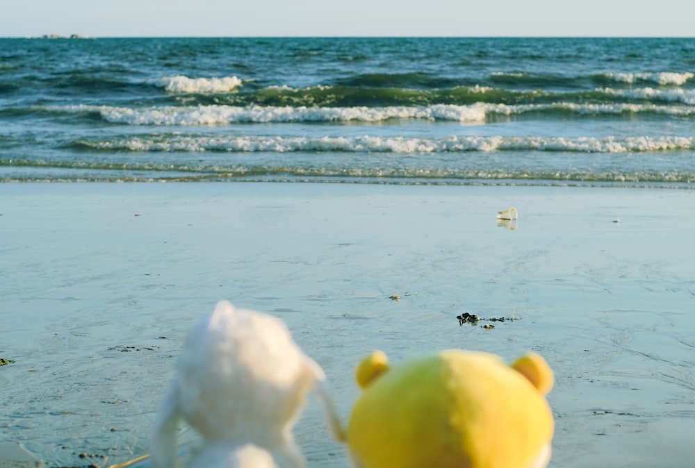 a couple of stuffed animals sitting on top of a beach
