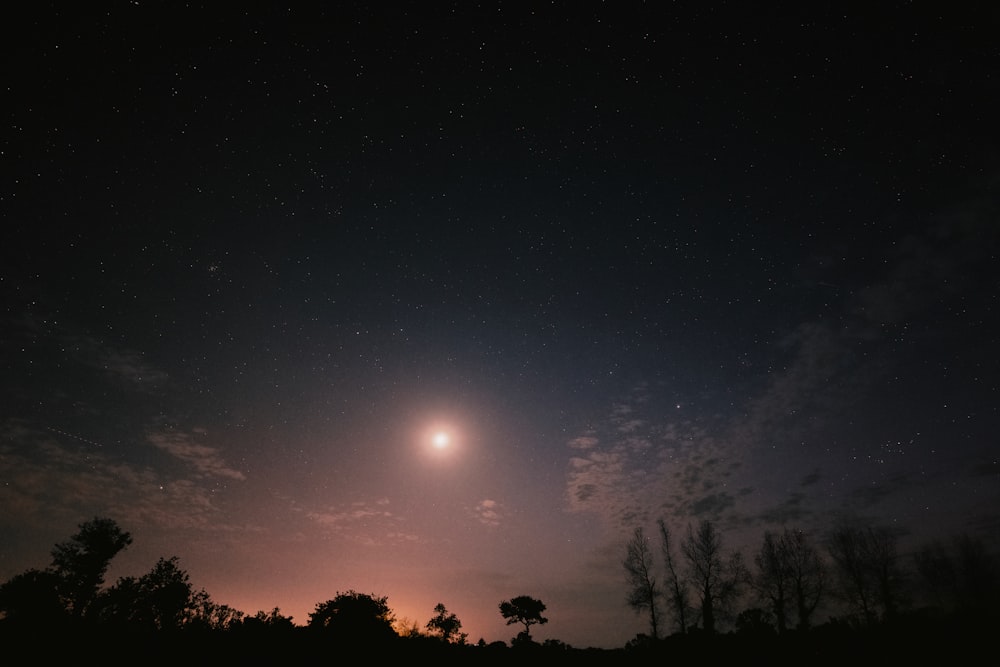 a bright moon shines in the night sky