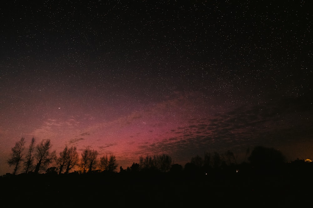 a night sky with stars and clouds over trees