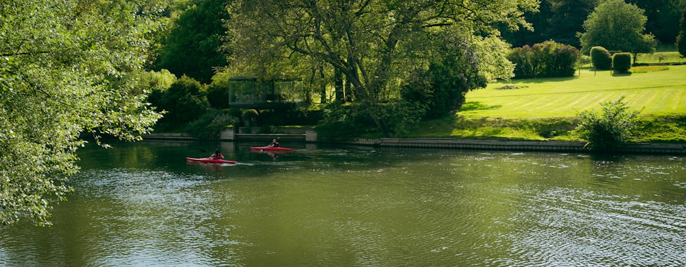 two people in canoes paddling down a river
