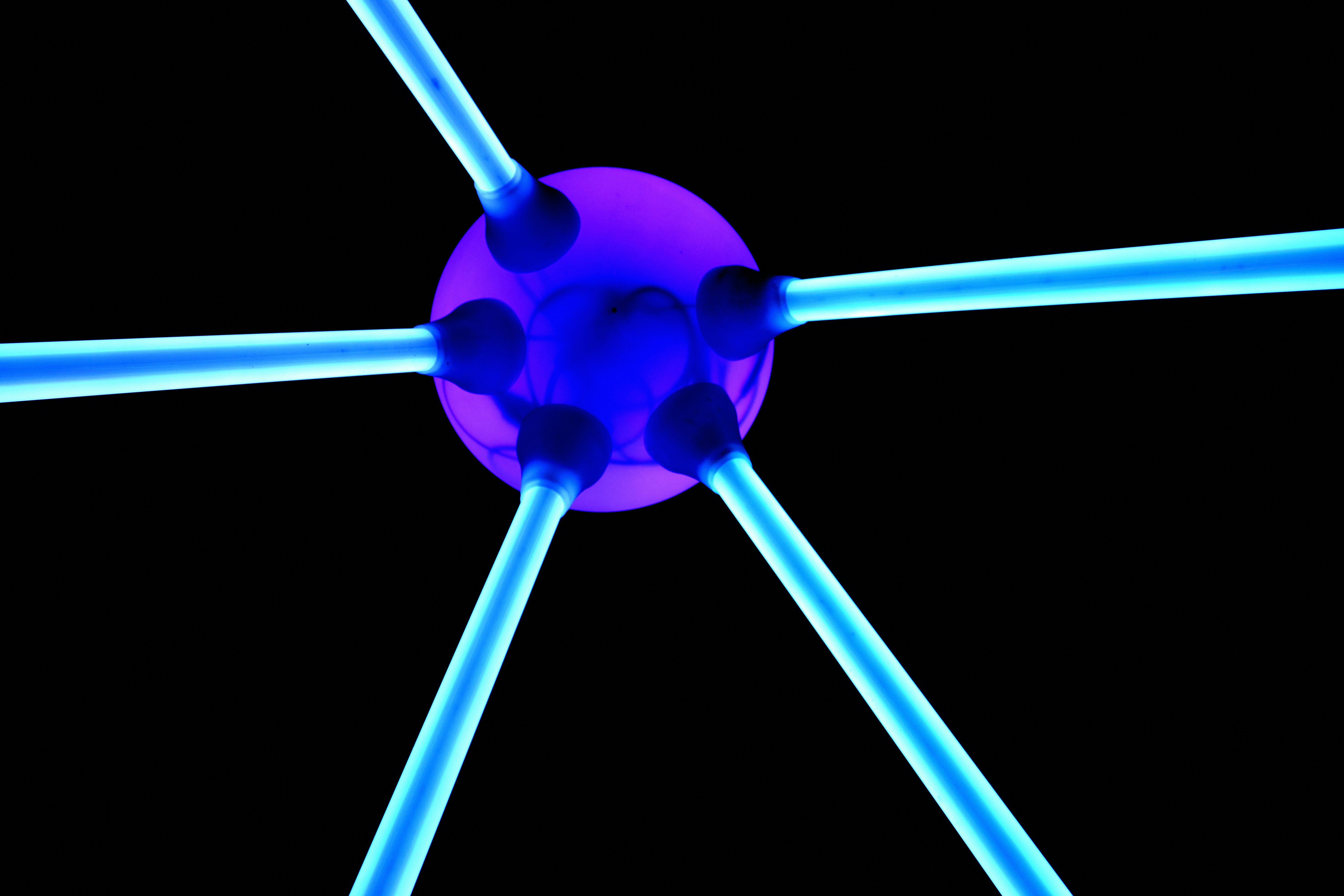 Photo by dellutriyuriy6