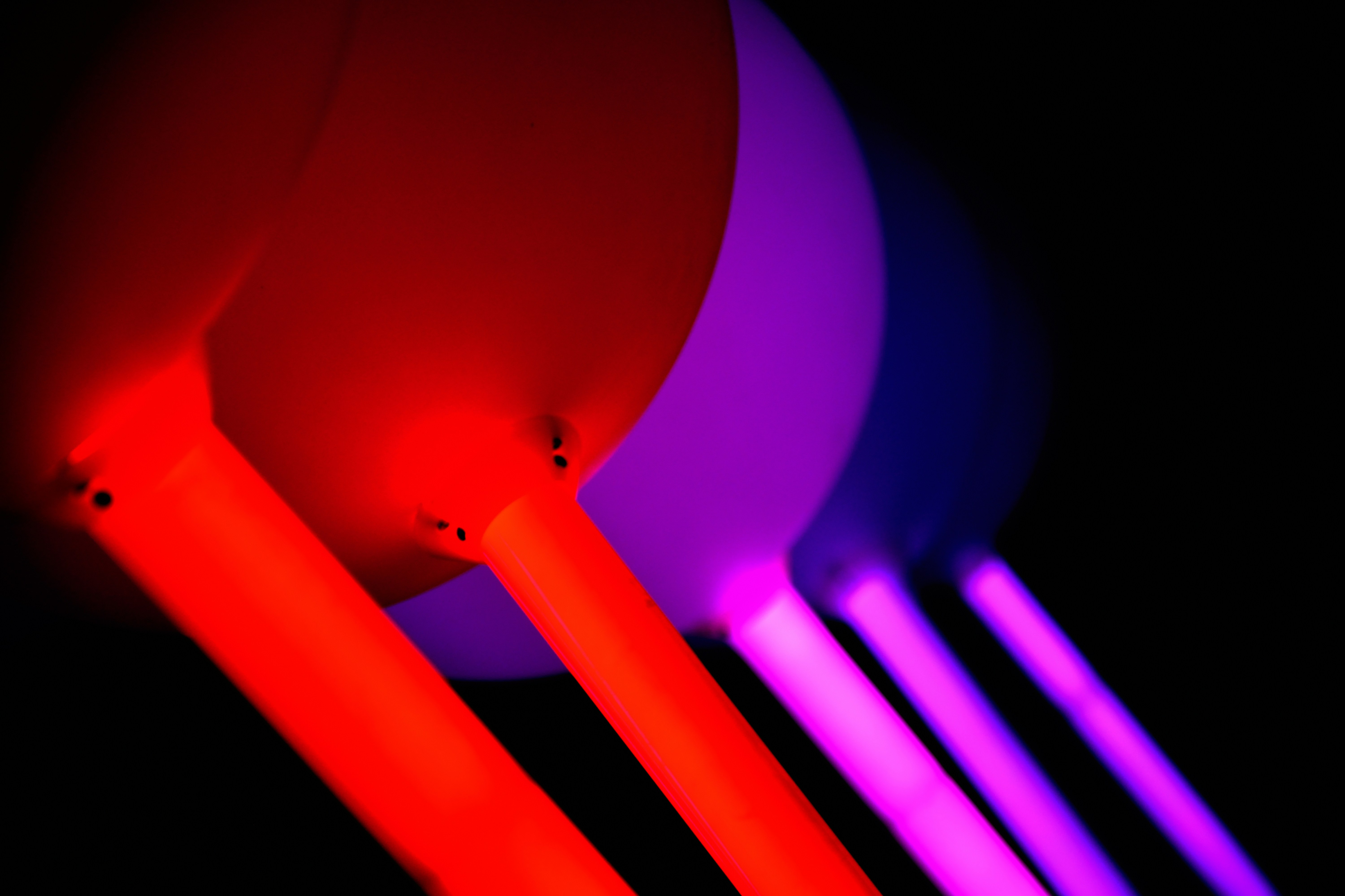 Photo by dellutriyuriy6