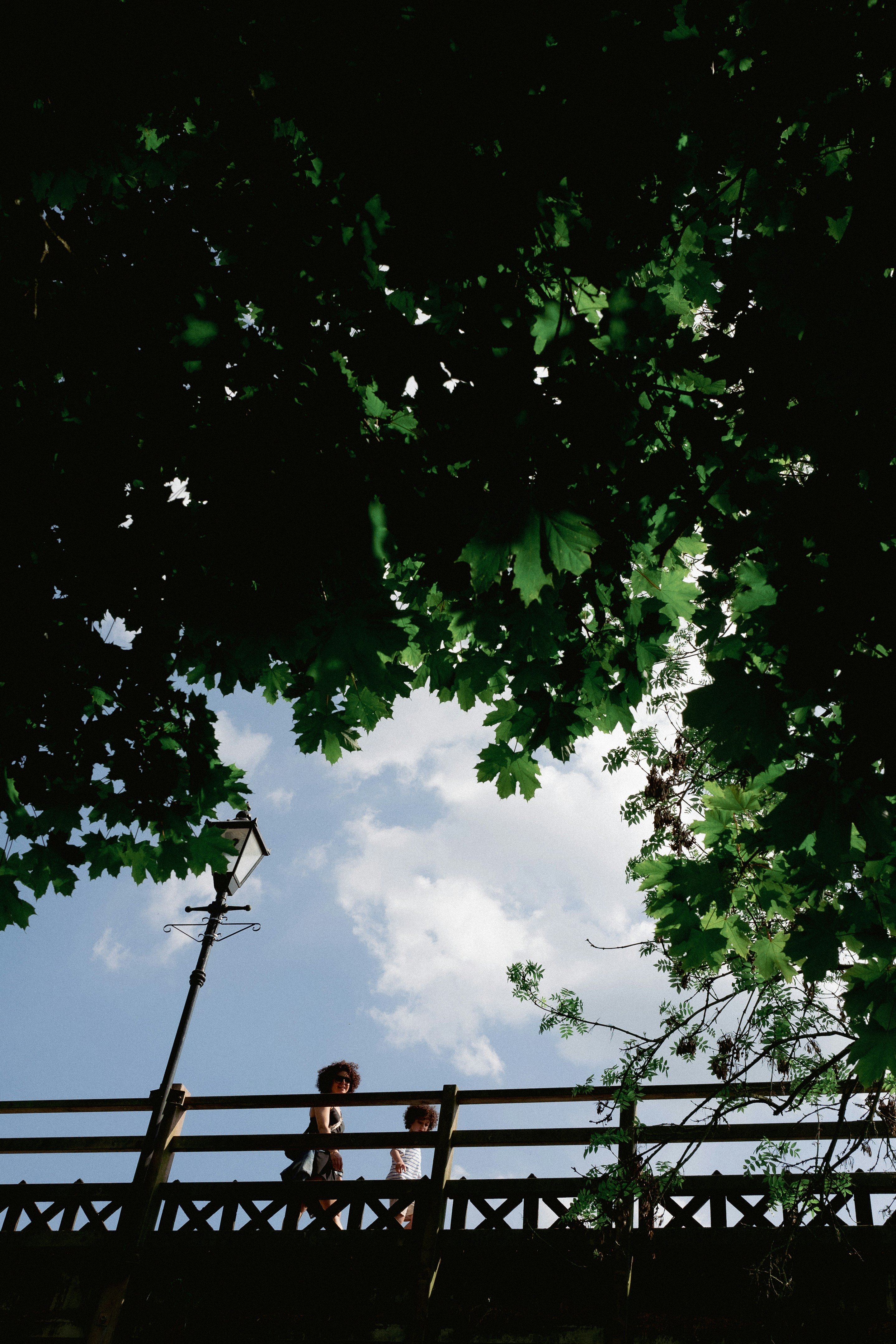 Photo by metinozer