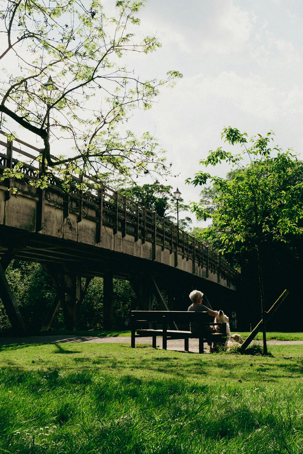 un hombre sentado en un banco debajo de un puente
