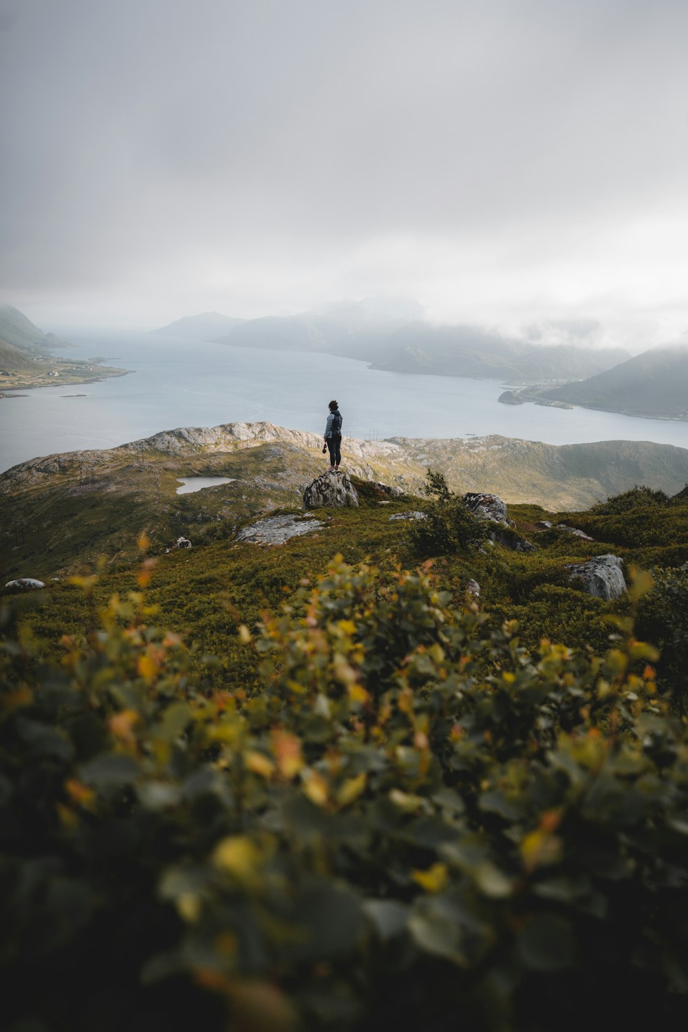 a man standing on top of a lush green hillside