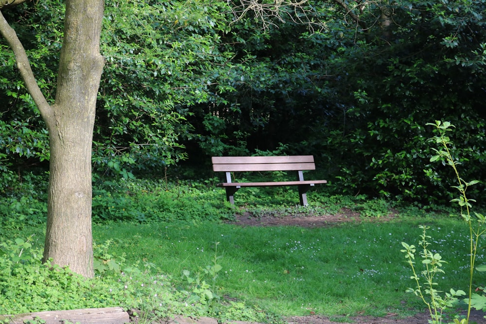 緑豊かな公園の真ん中に佇む木のベンチ