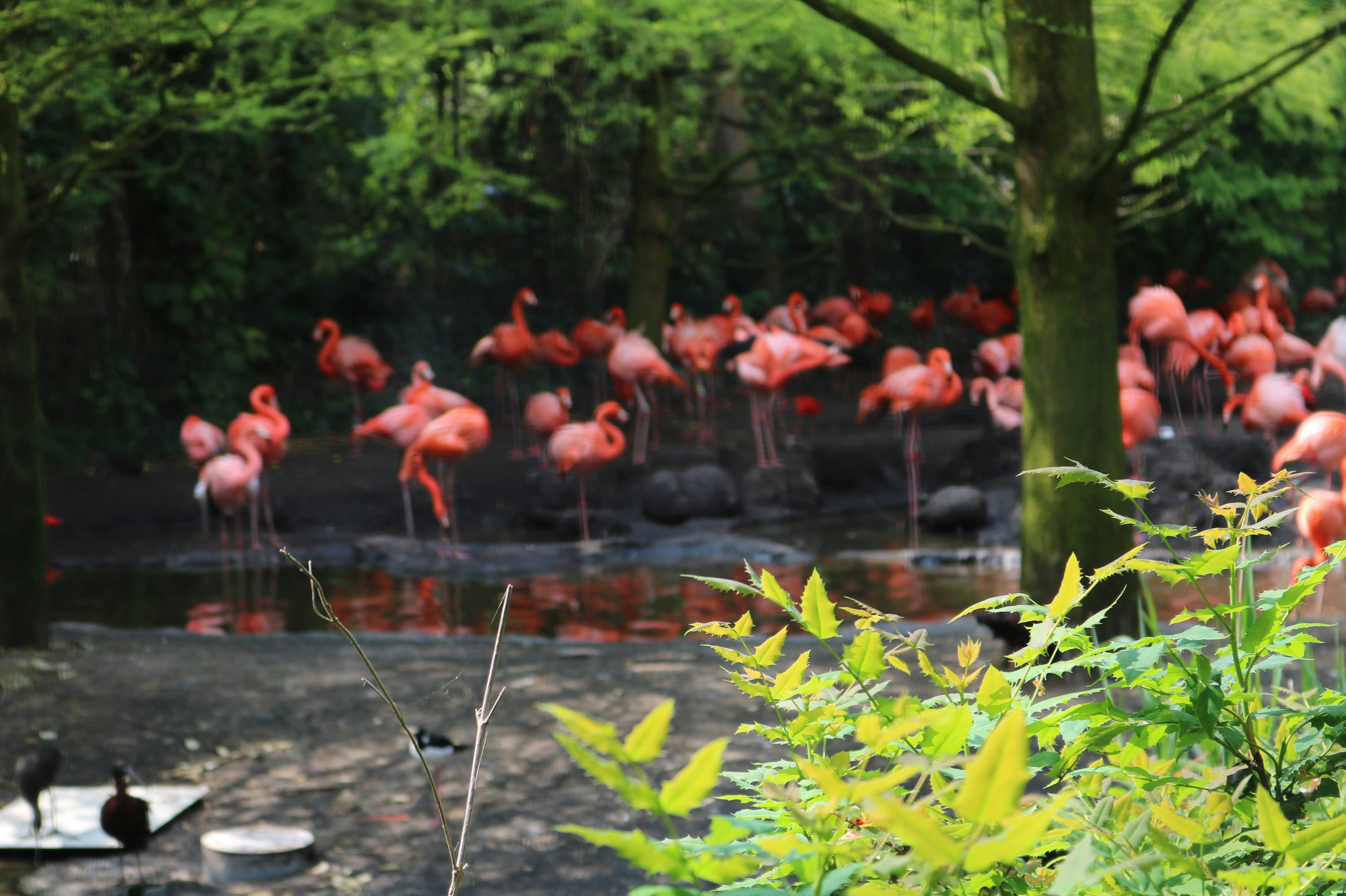 Afbeelding van Alphen aan den Rijn