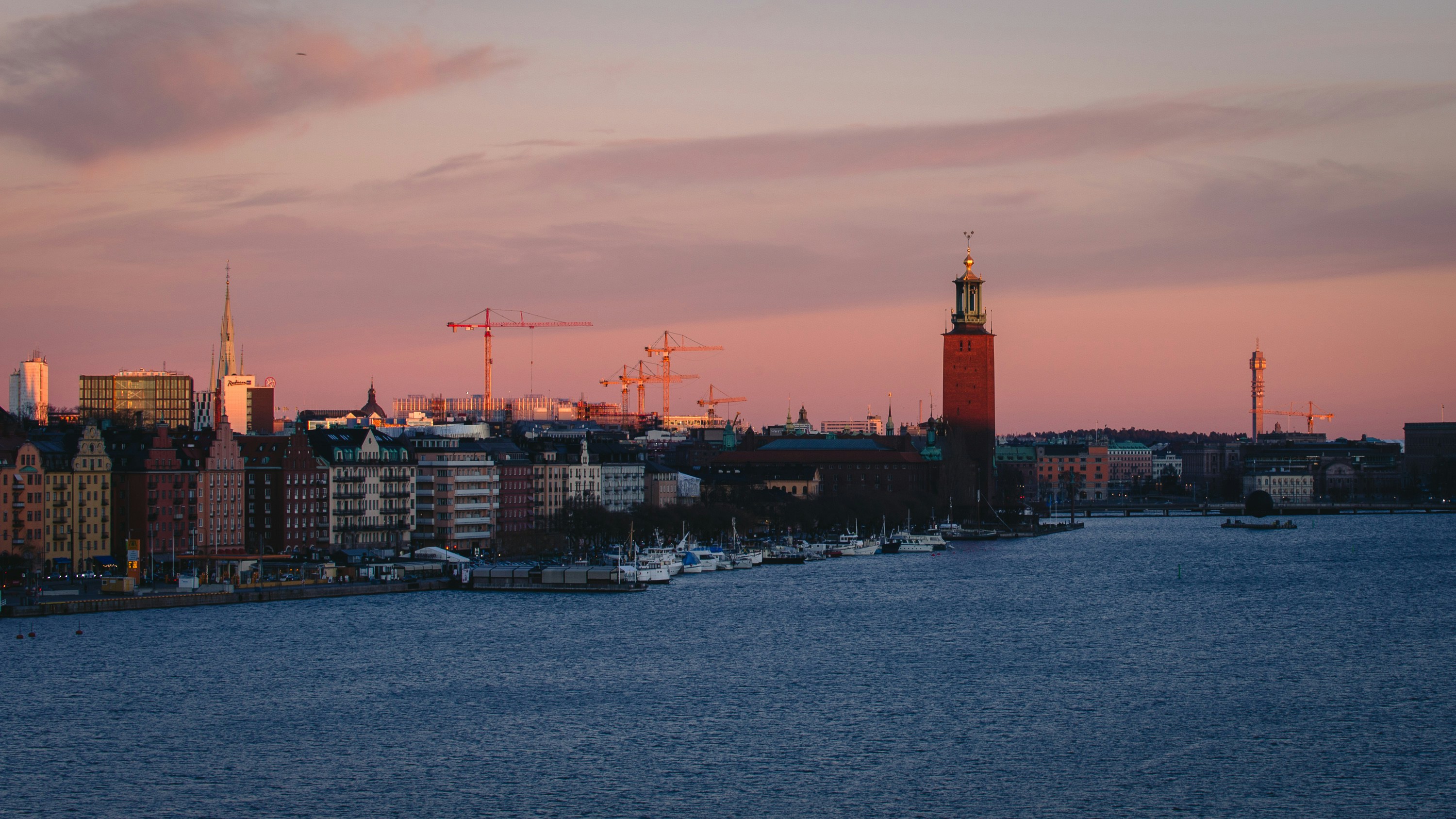 Photo by timelapse_temp