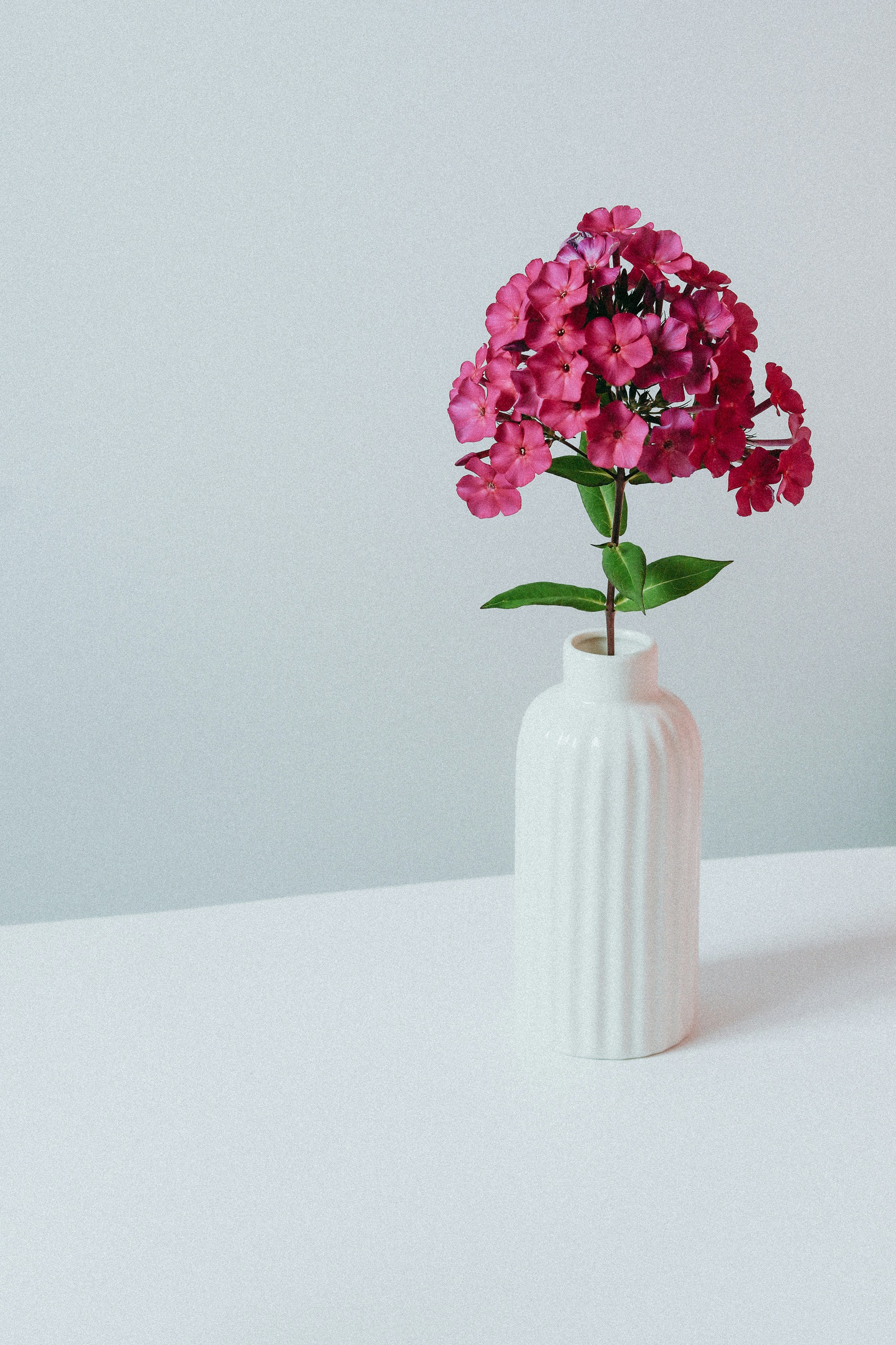 Photo by babybluecat