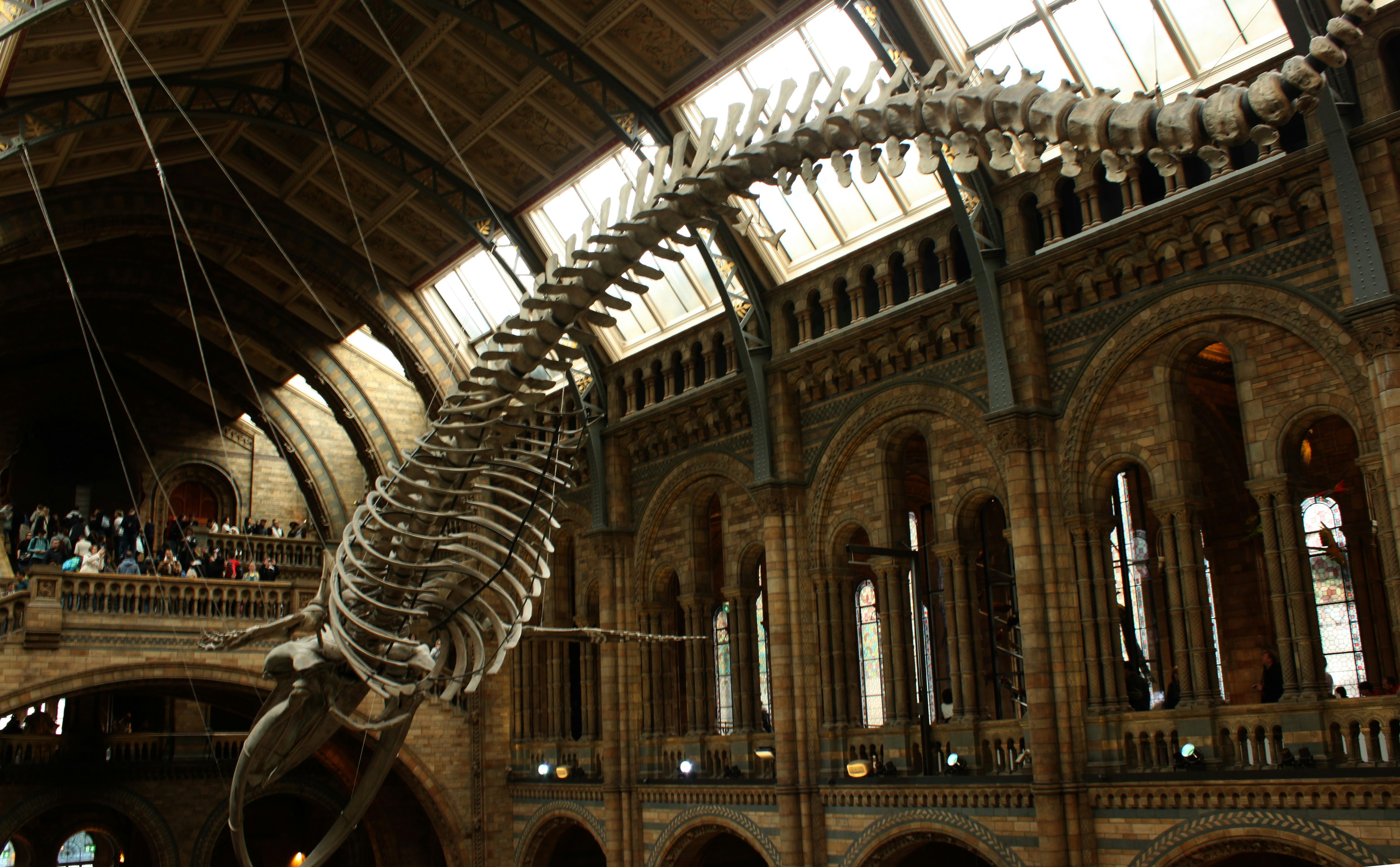 Photo by miguelbaixauli