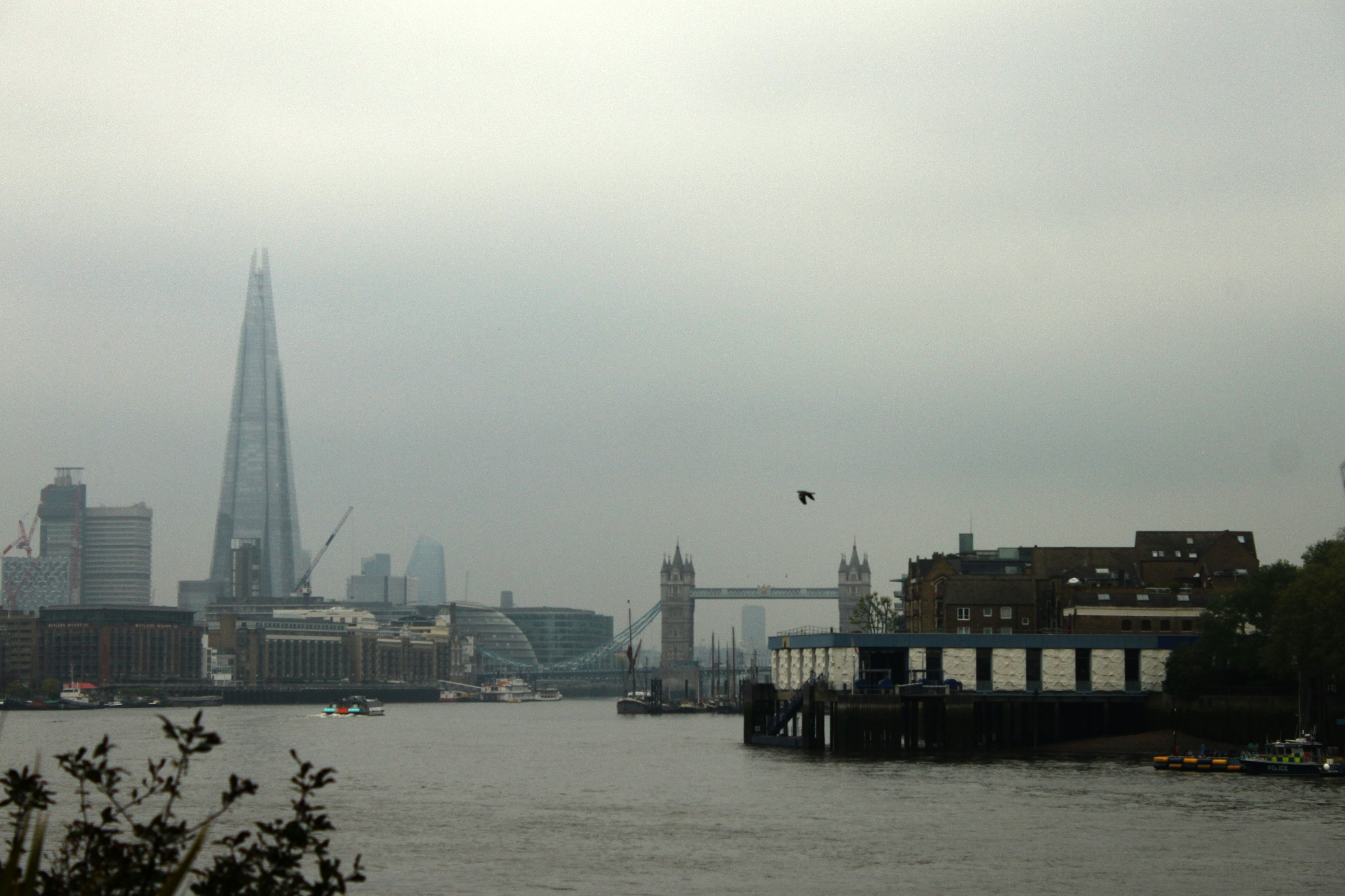 Photo by miguelbaixauli