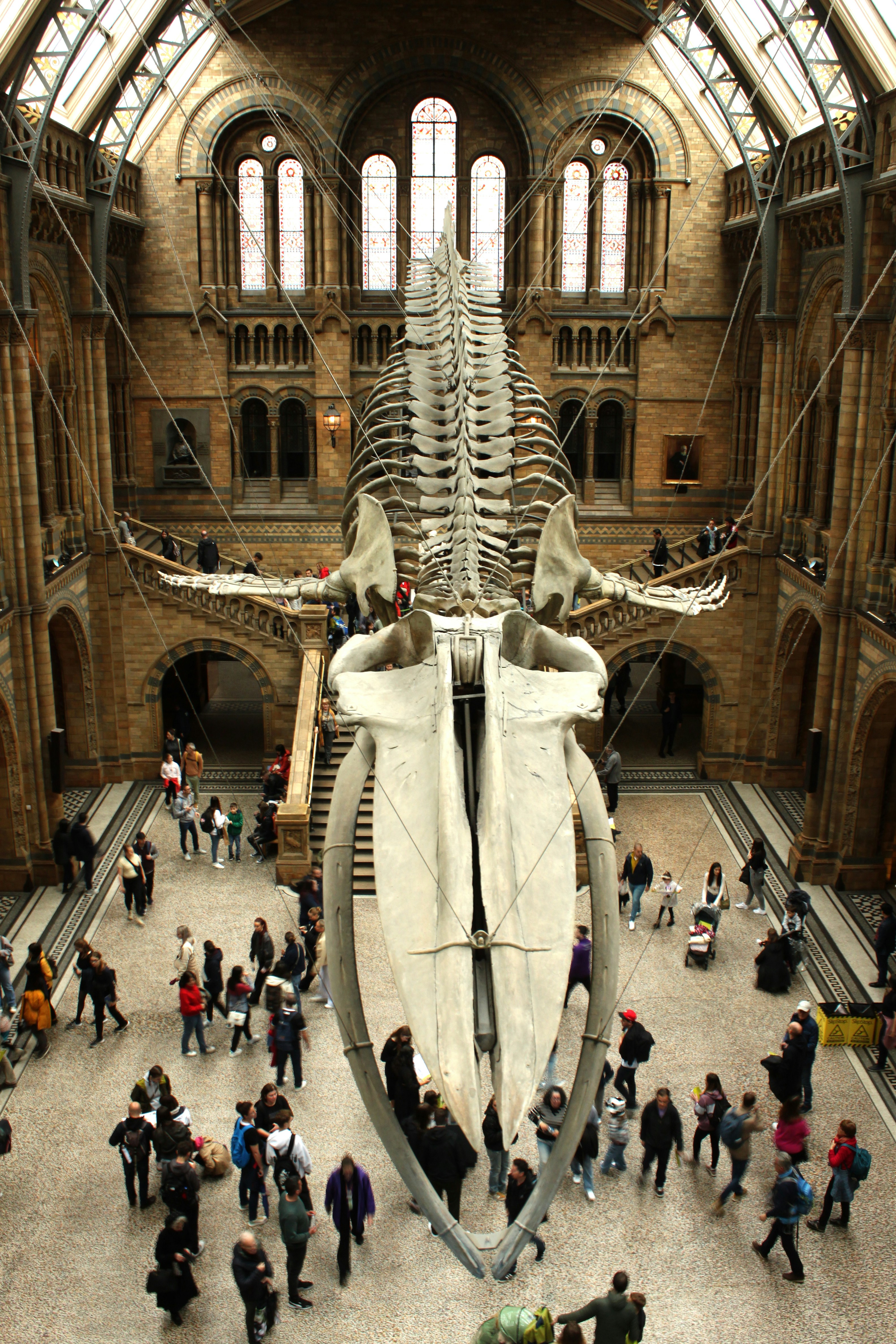 Photo by miguelbaixauli