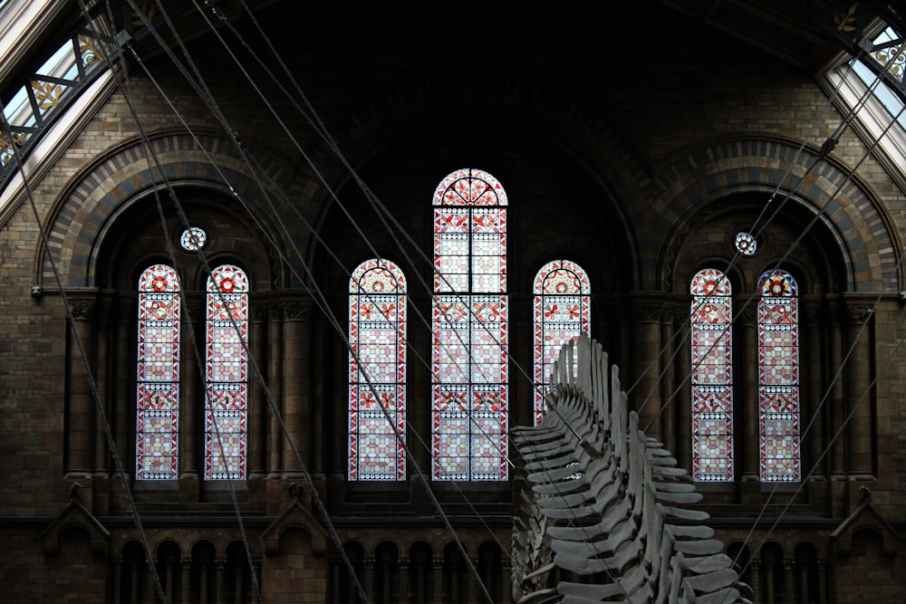 a large skeleton is in front of two stained glass windows