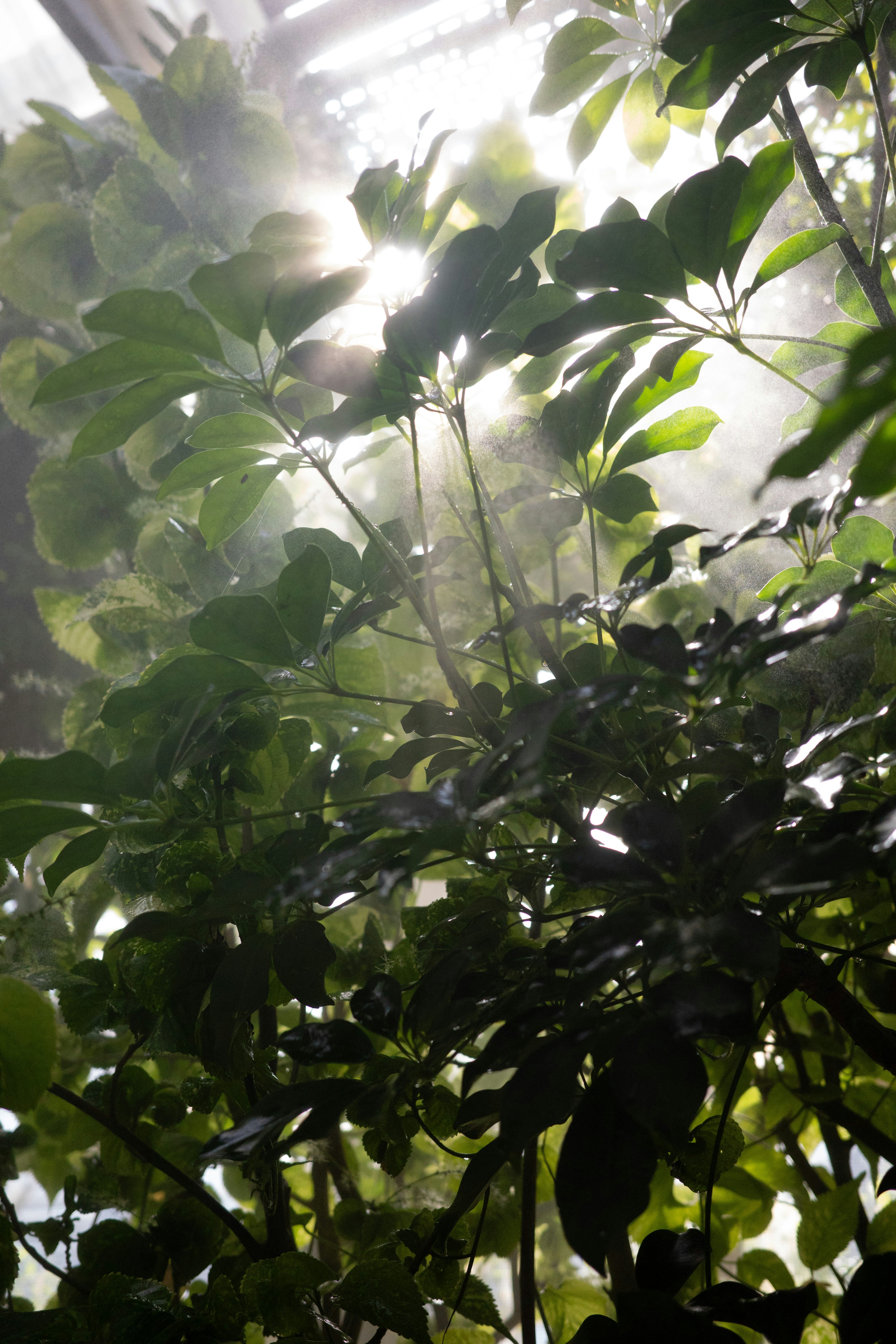 Photo by ninaschneider