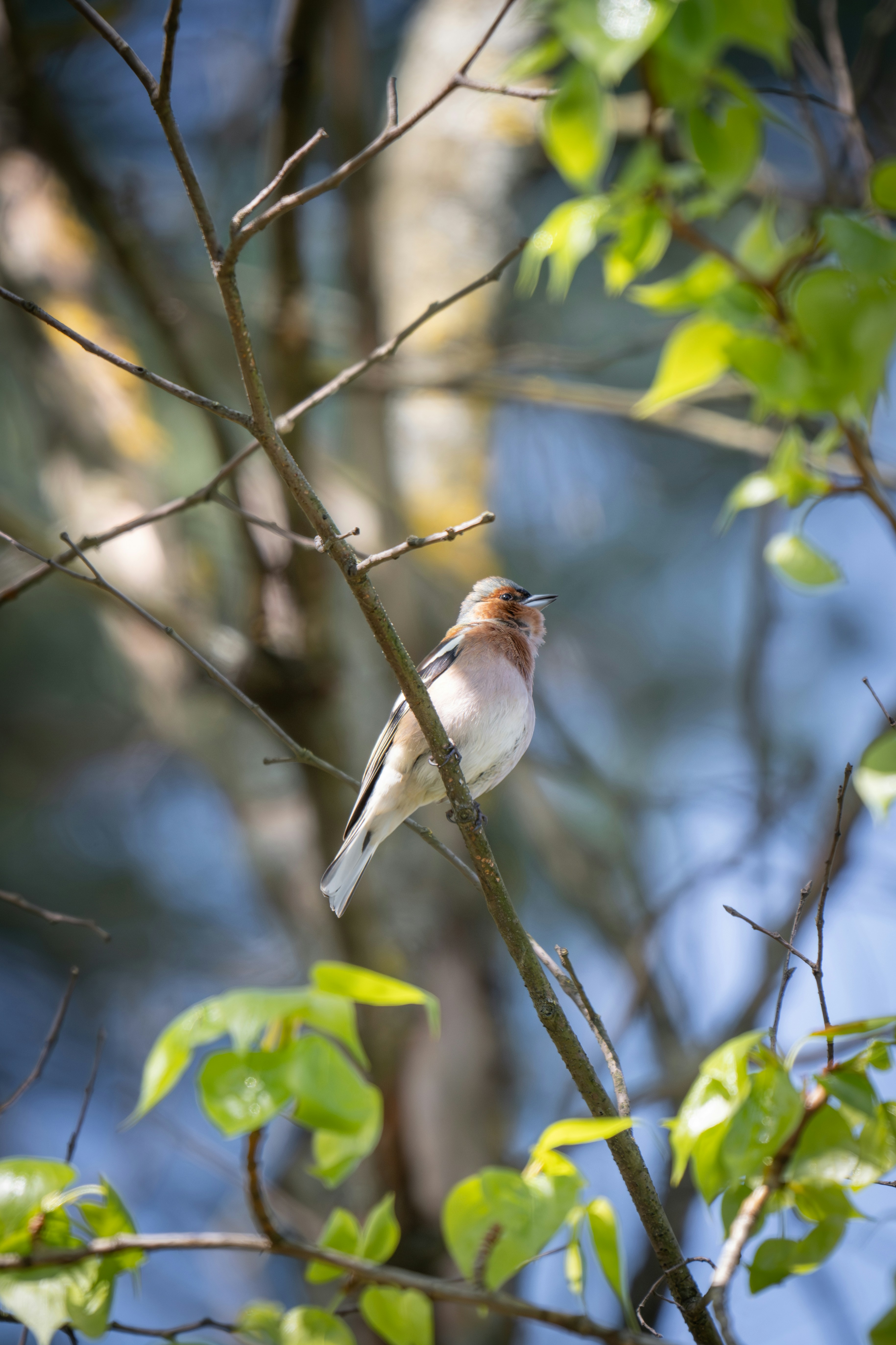 Photo by andreystrizhkov