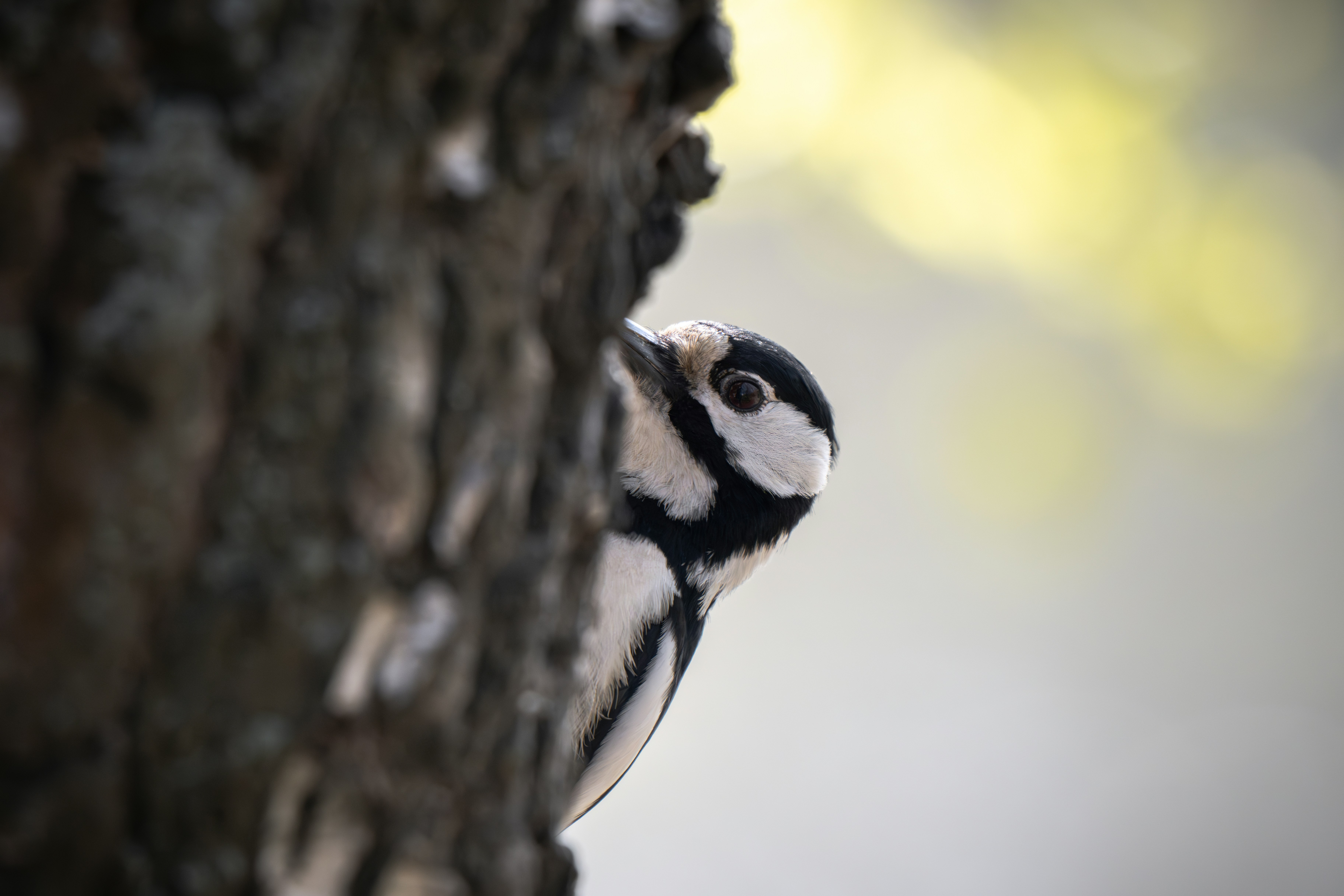 Photo by andreystrizhkov