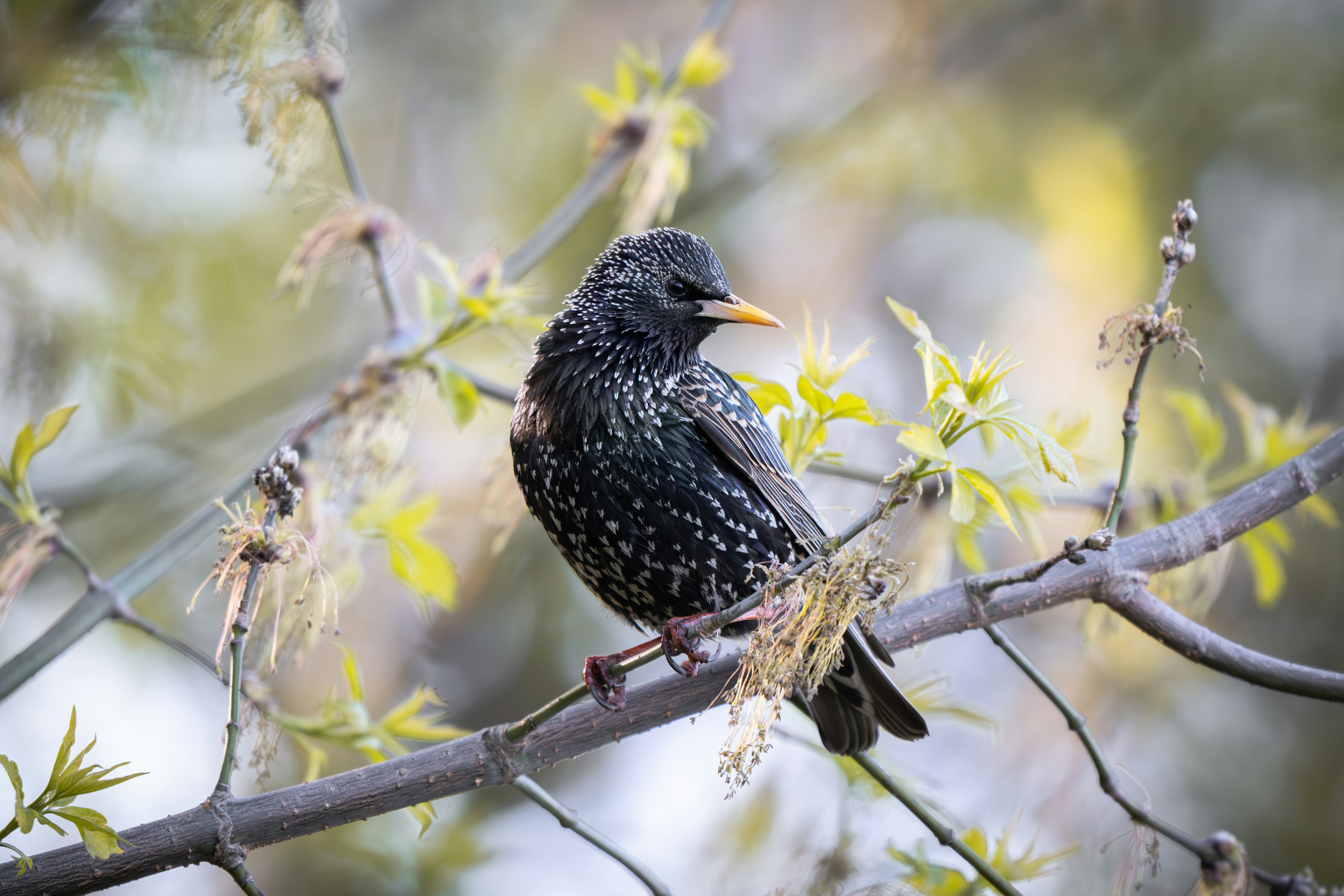 Photo by andreystrizhkov