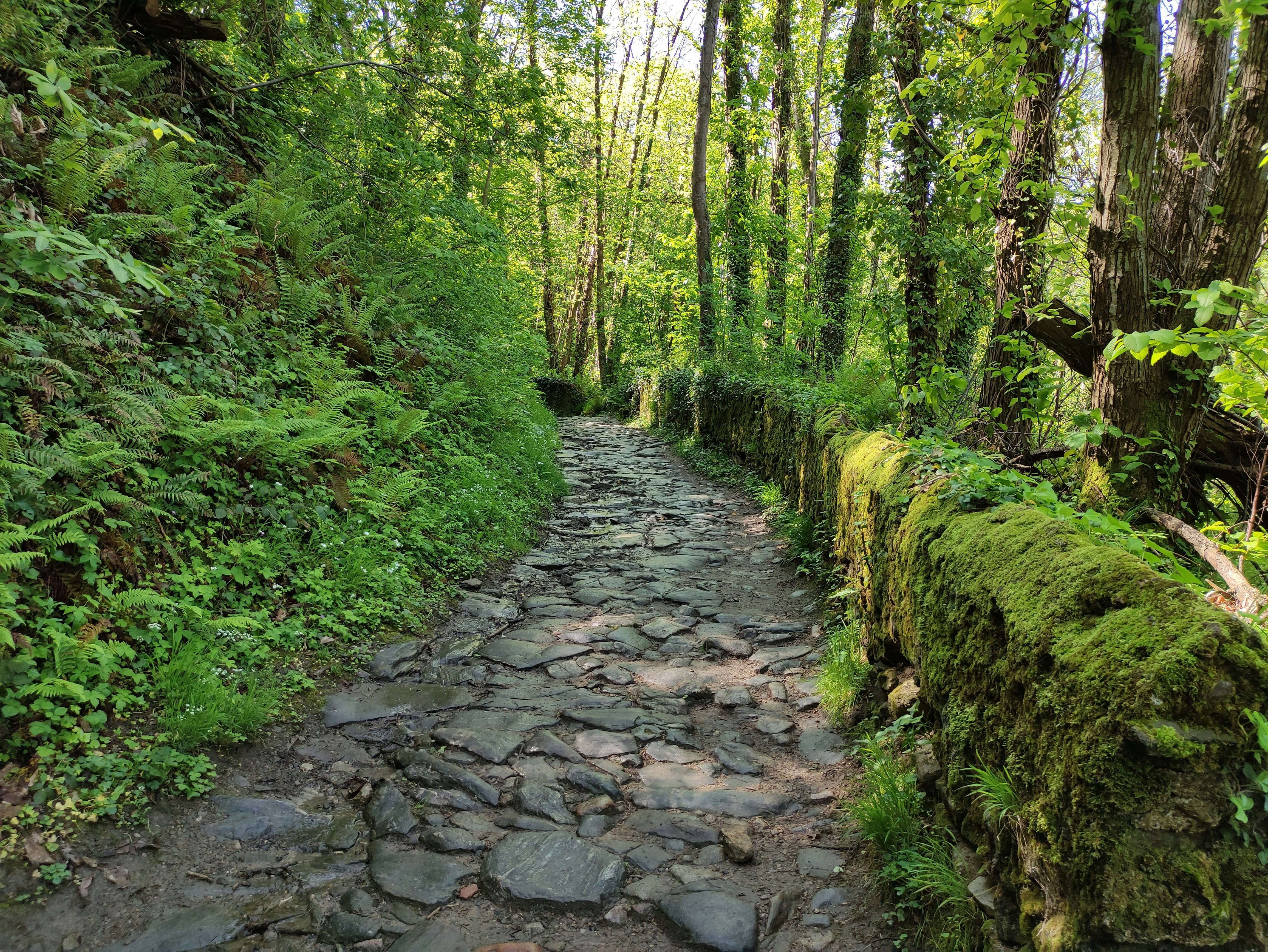 Mazamet (Tarn). Ancienne route du sel et voie romaine