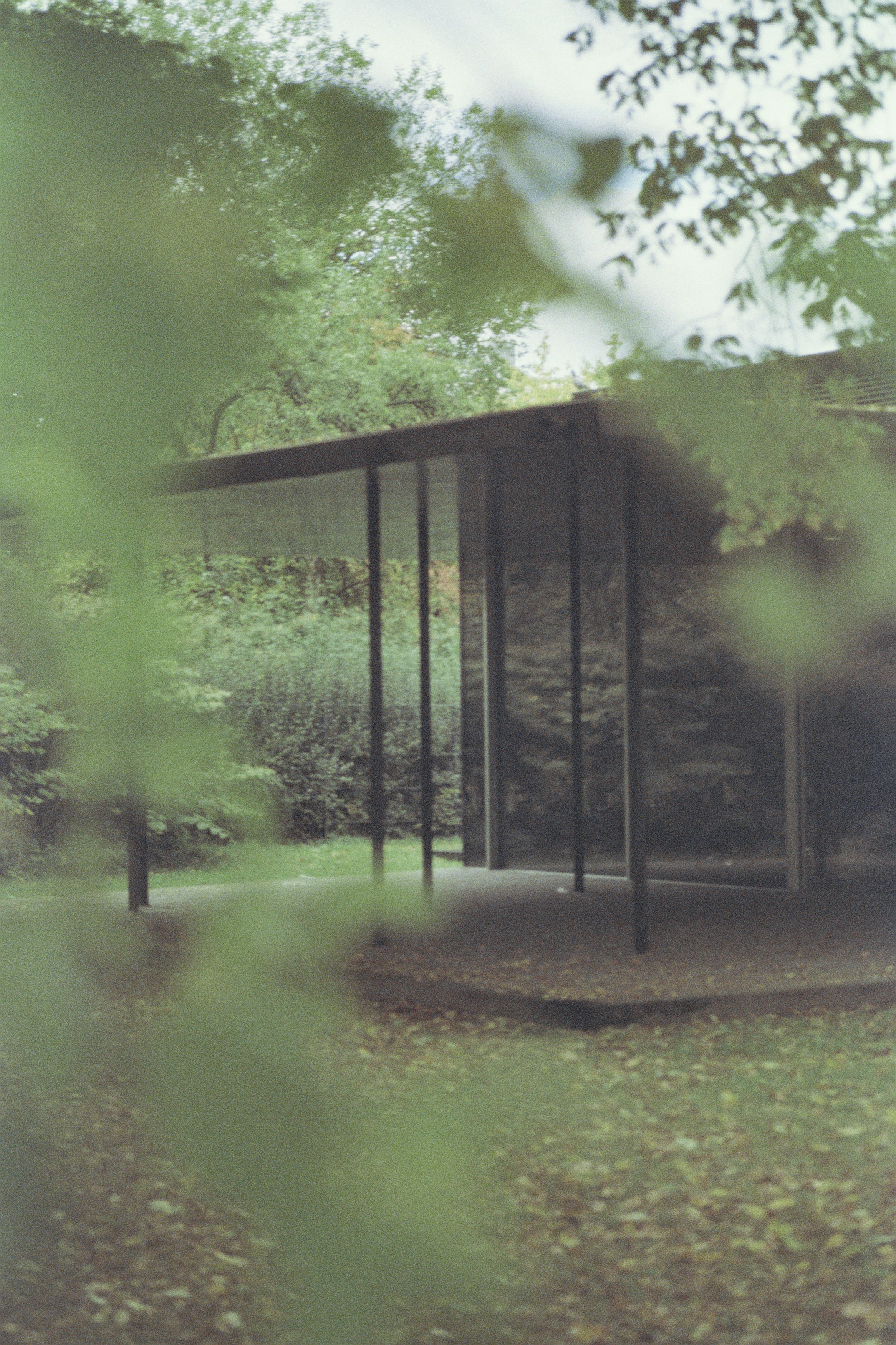 a building in the middle of a forest