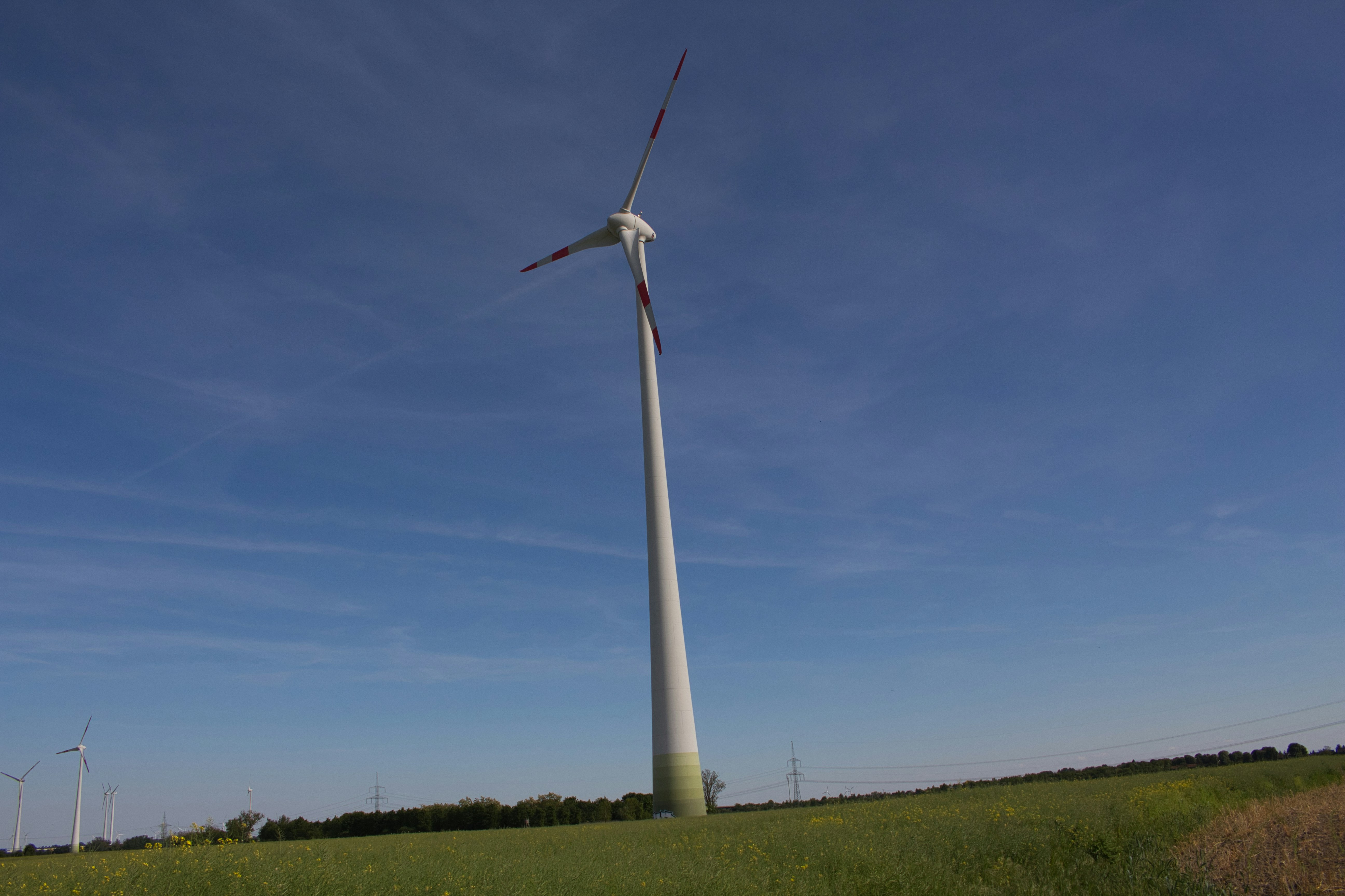 Photo by petrykowskim