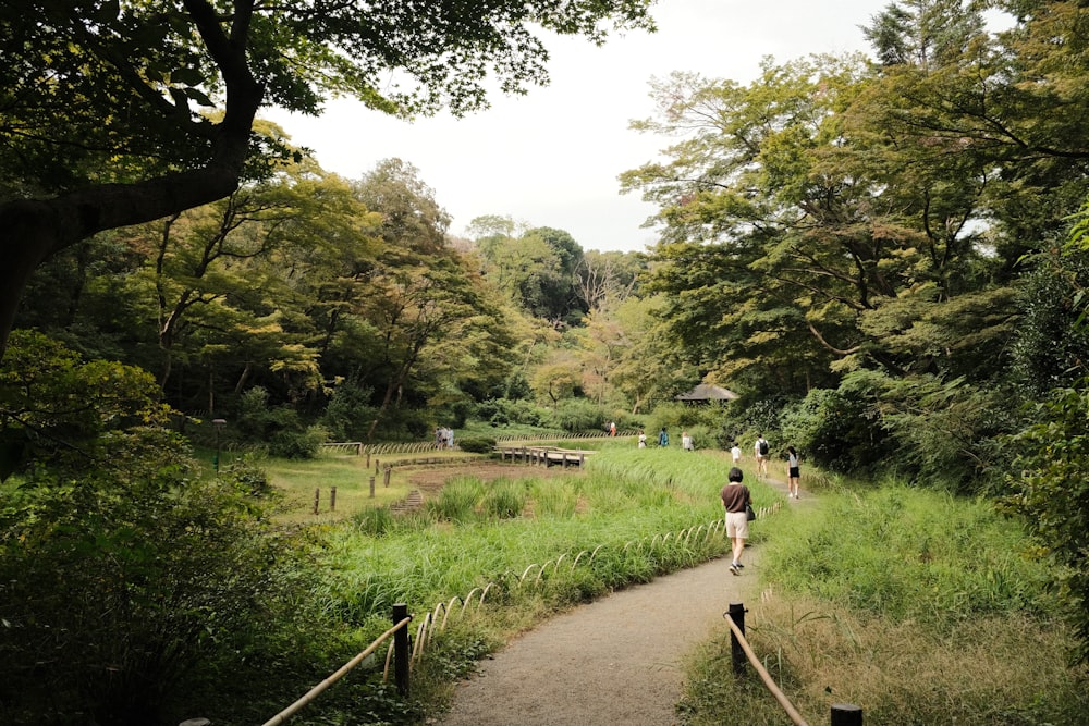 a group of people walking down a path through a lush green forest
