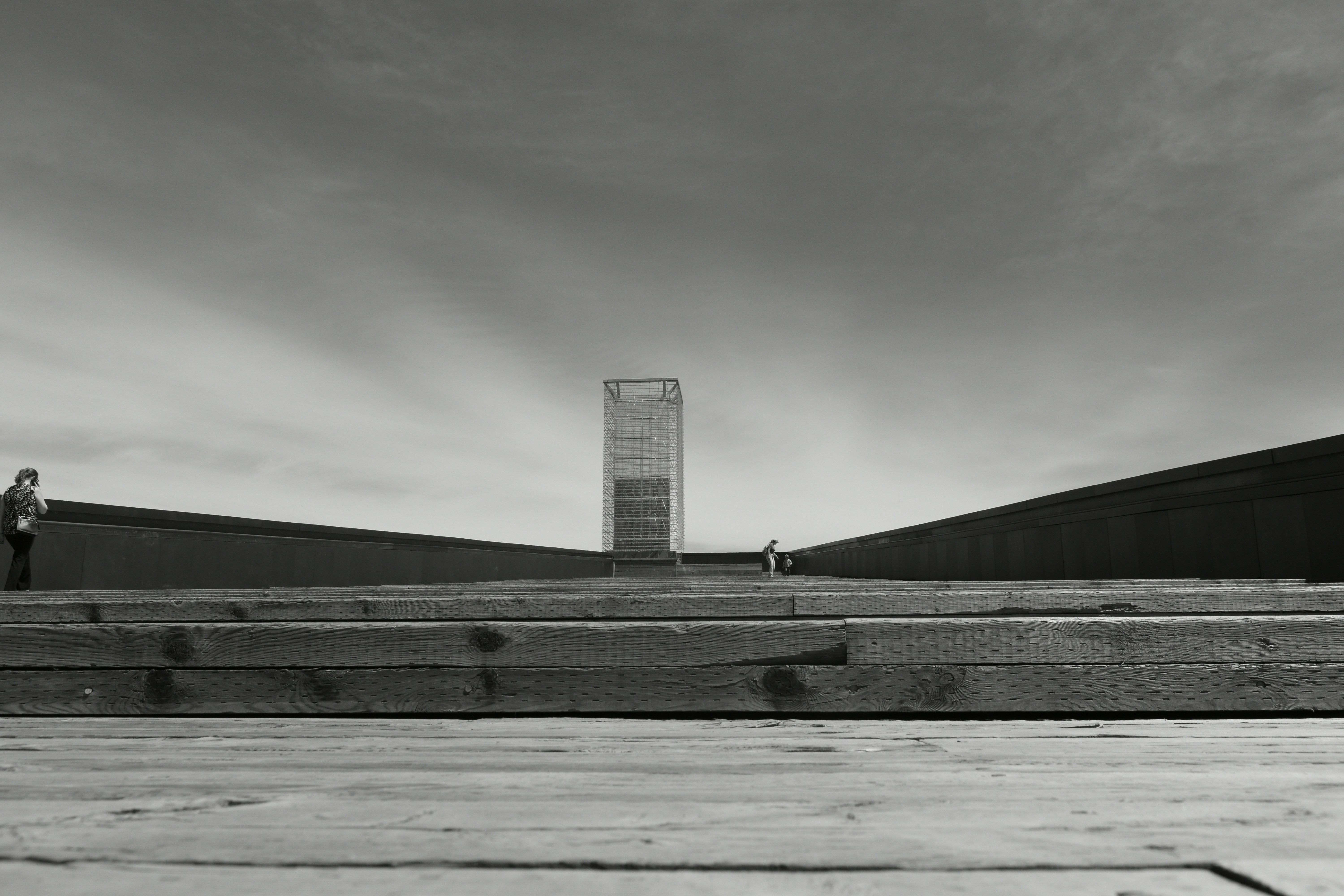 Photo by contracrostipunctus