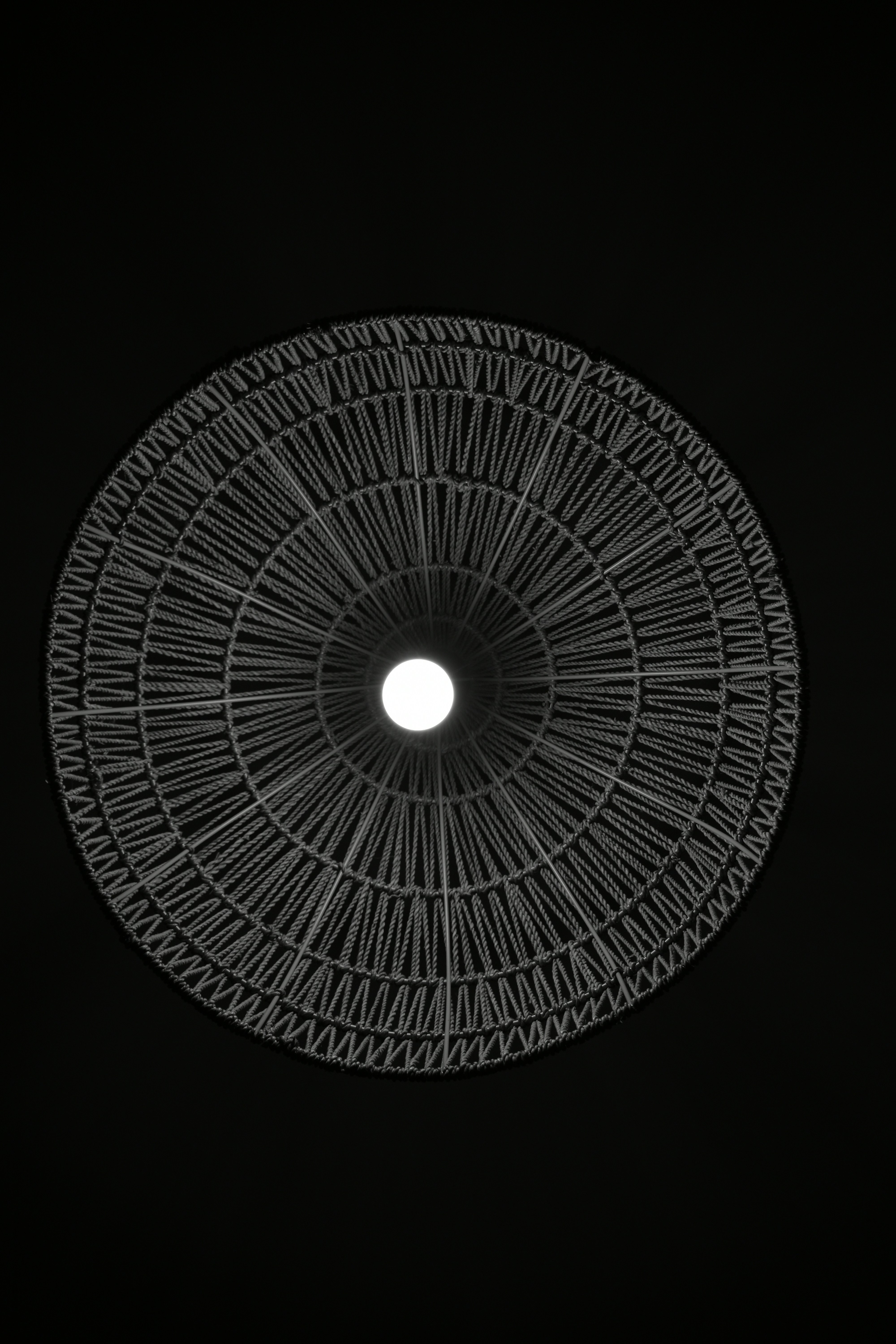 Photo by contracrostipunctus