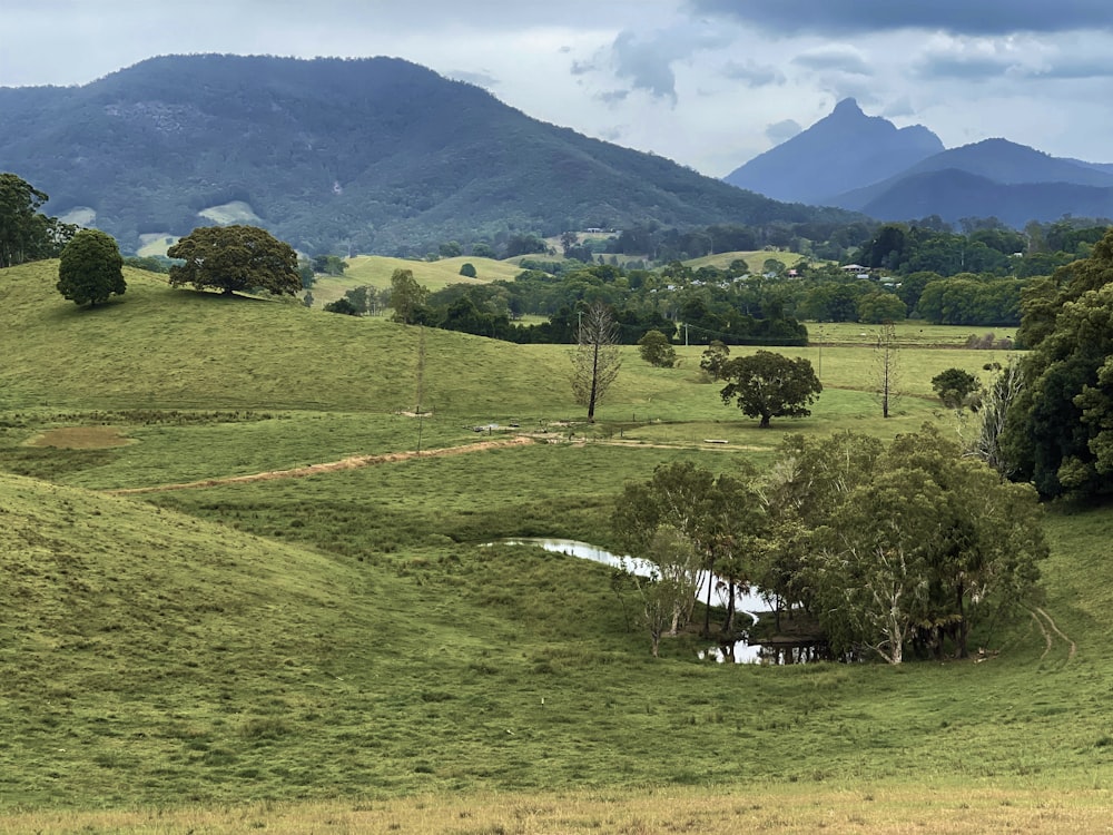 a lush green hillside with a small pond in the middle of it