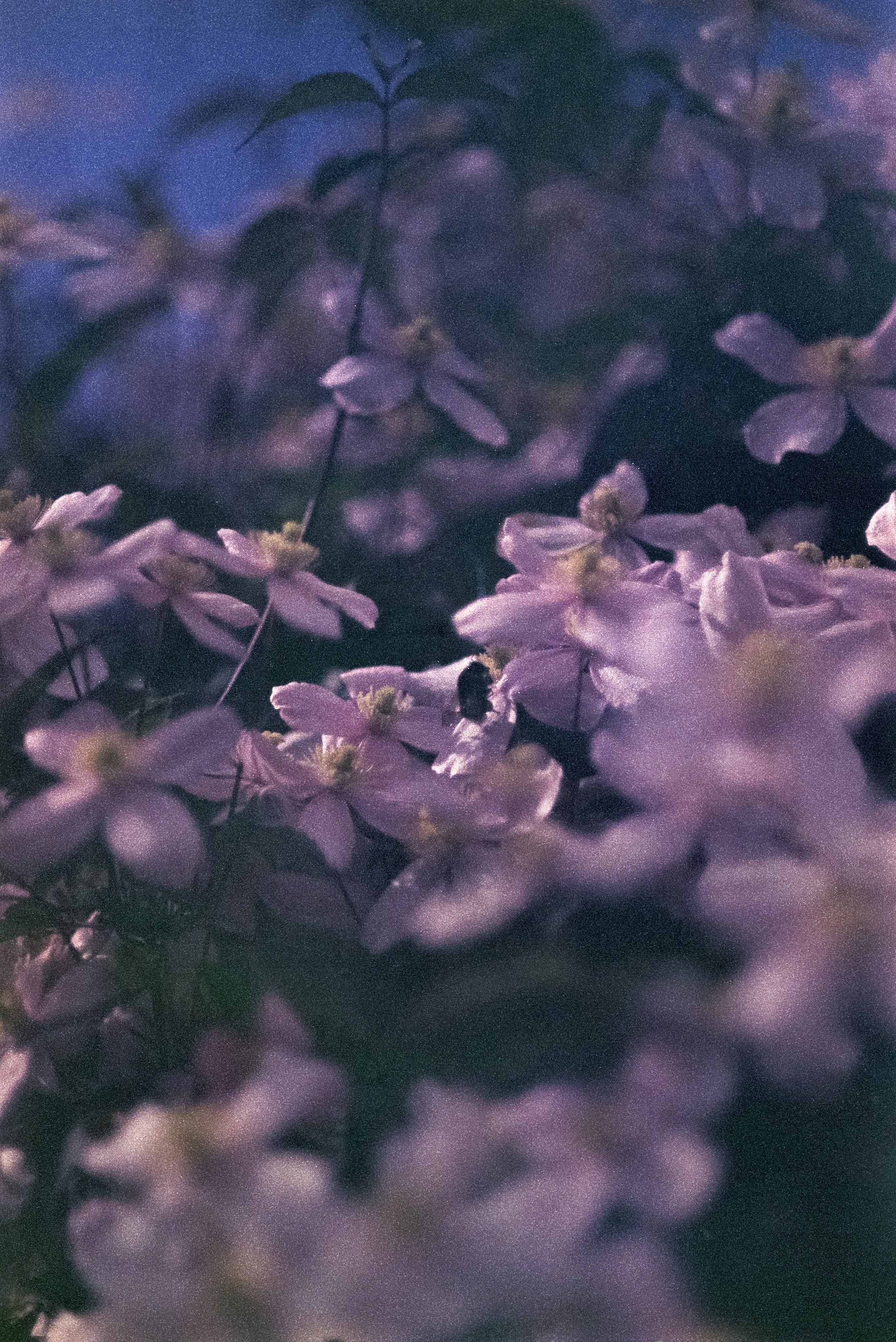 Photo by artistseyes