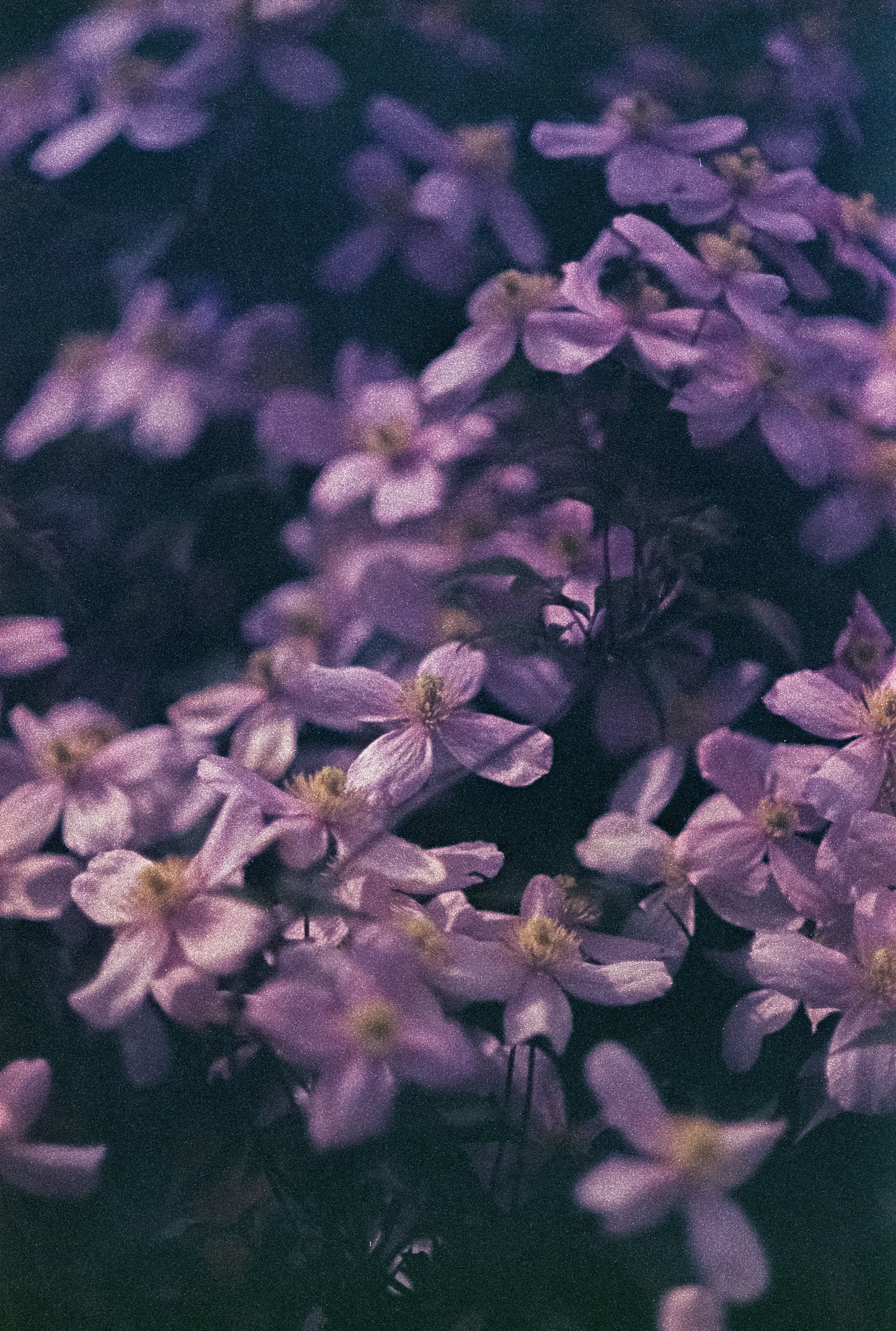 Photo by artistseyes