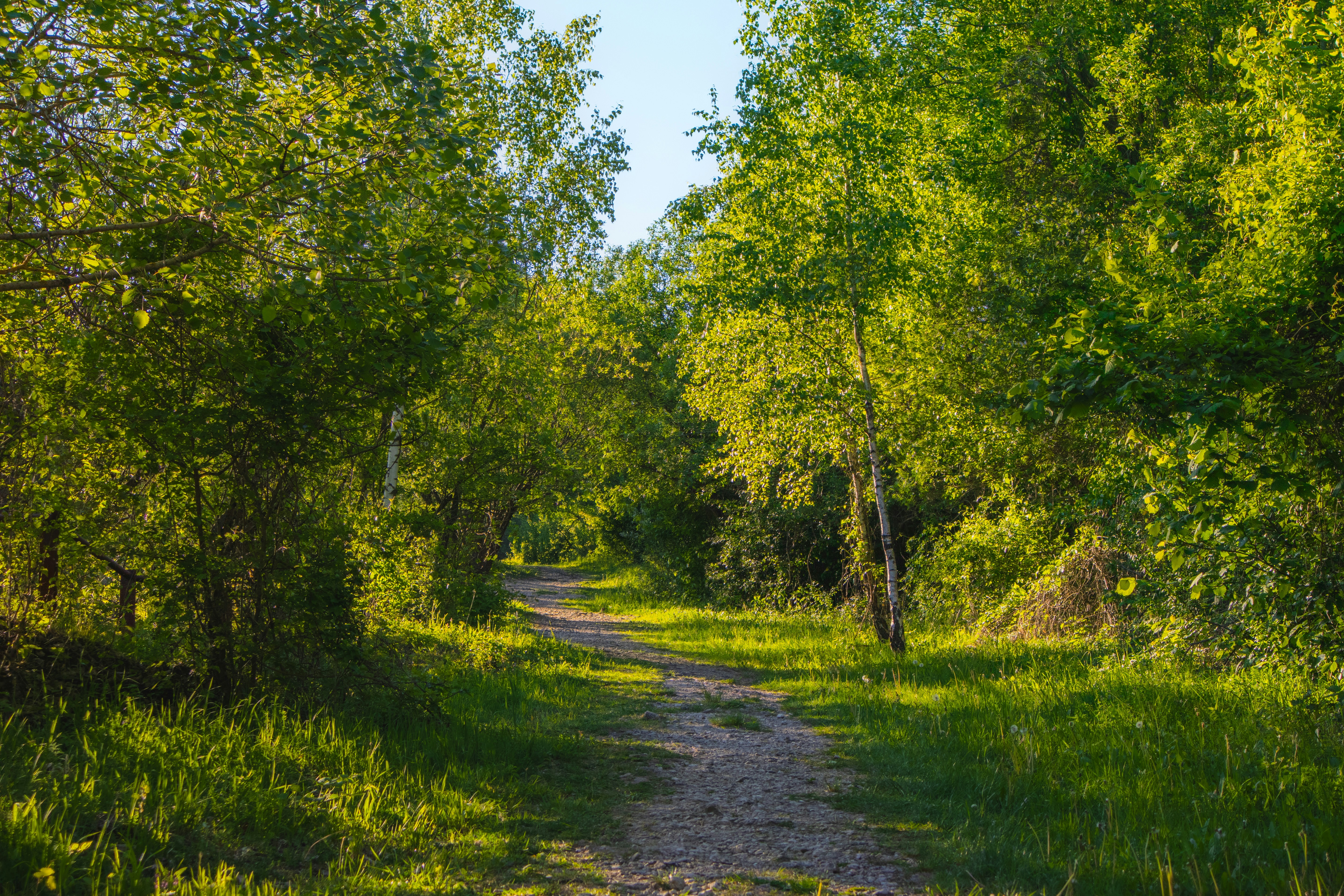 Photo by marko_lengyel