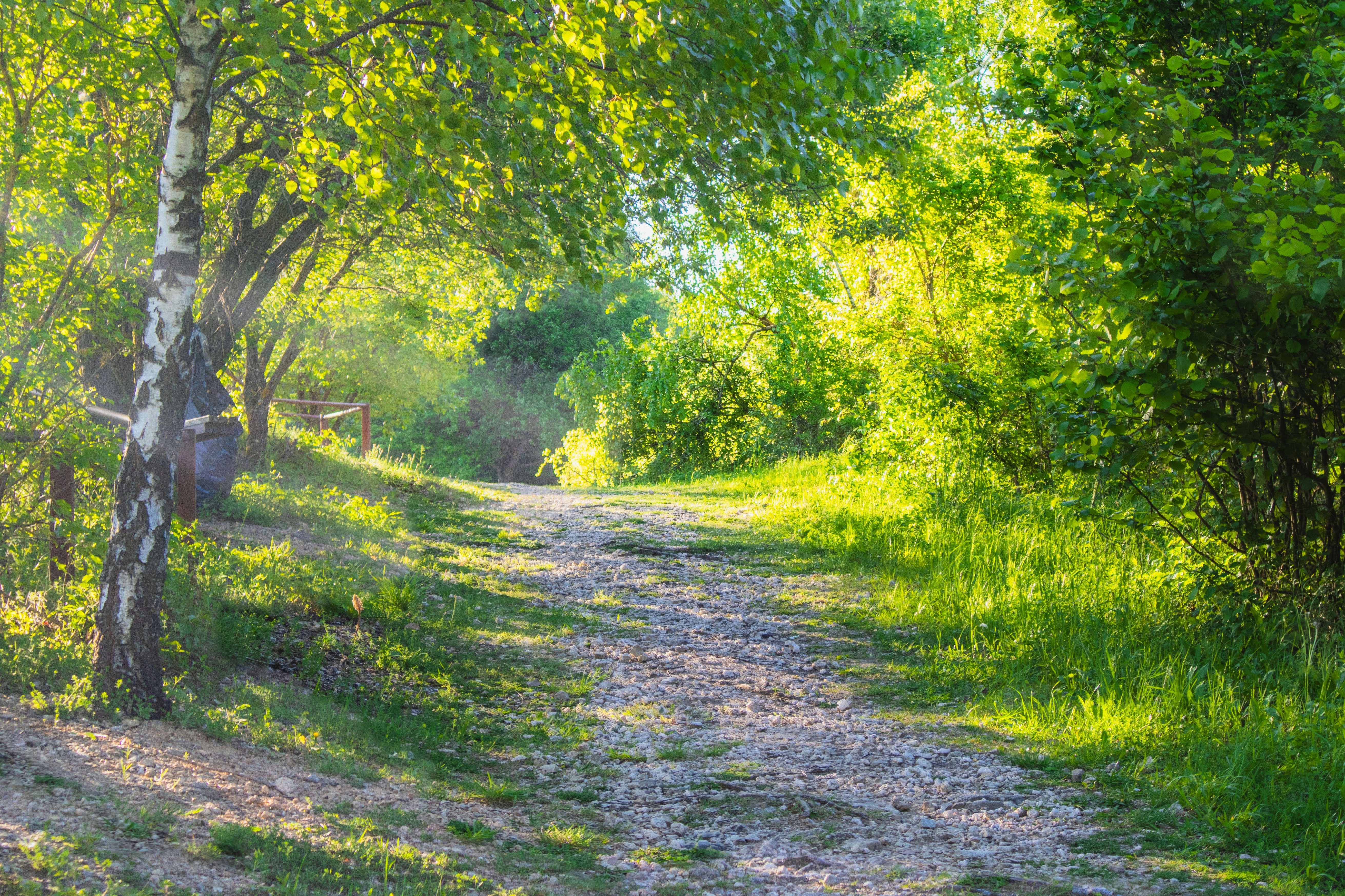 Photo by marko_lengyel