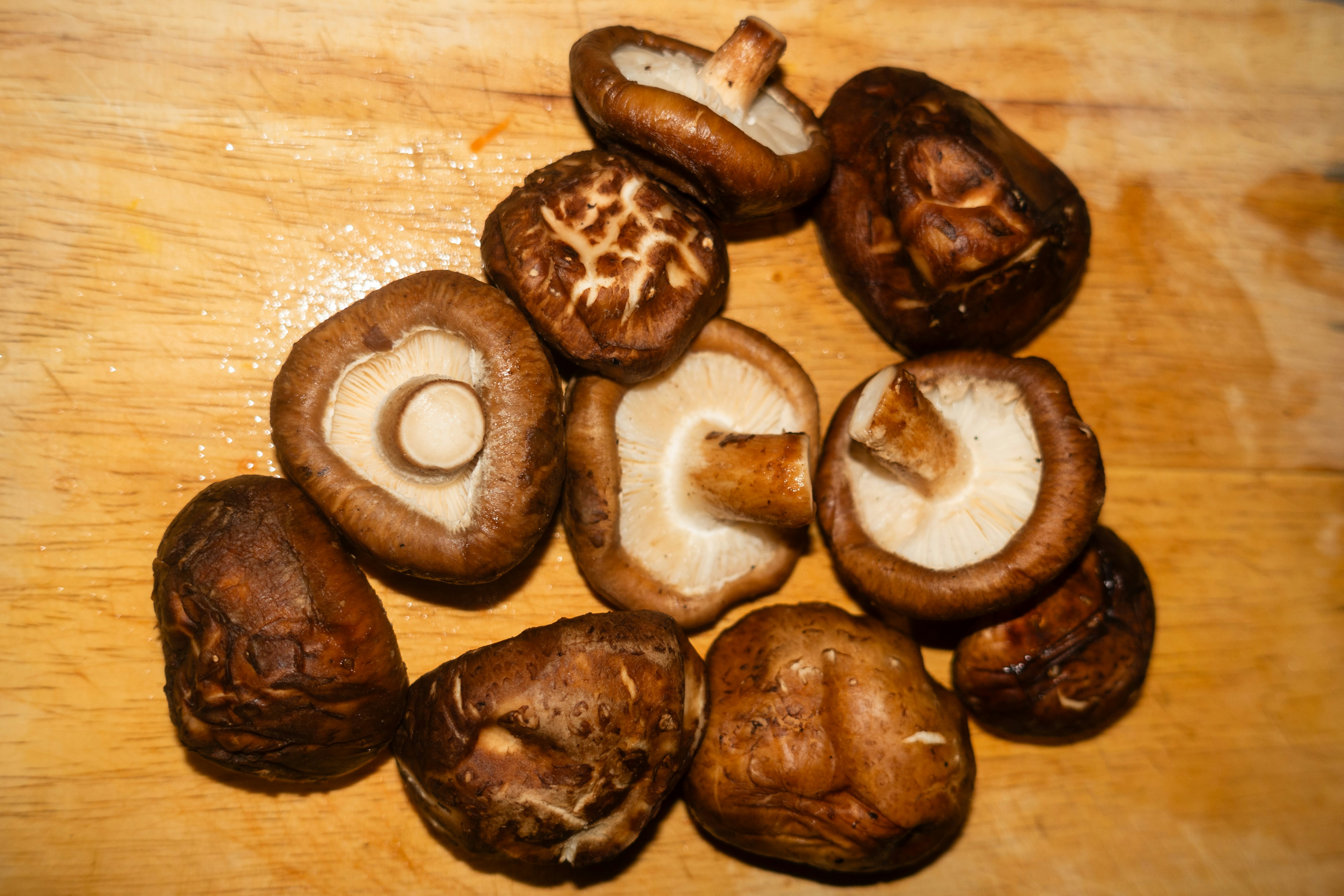 Premium shiitake mushrooms with dark brown umbrella caps and cream gills on rustic wooden board, moody atmospheric lighting