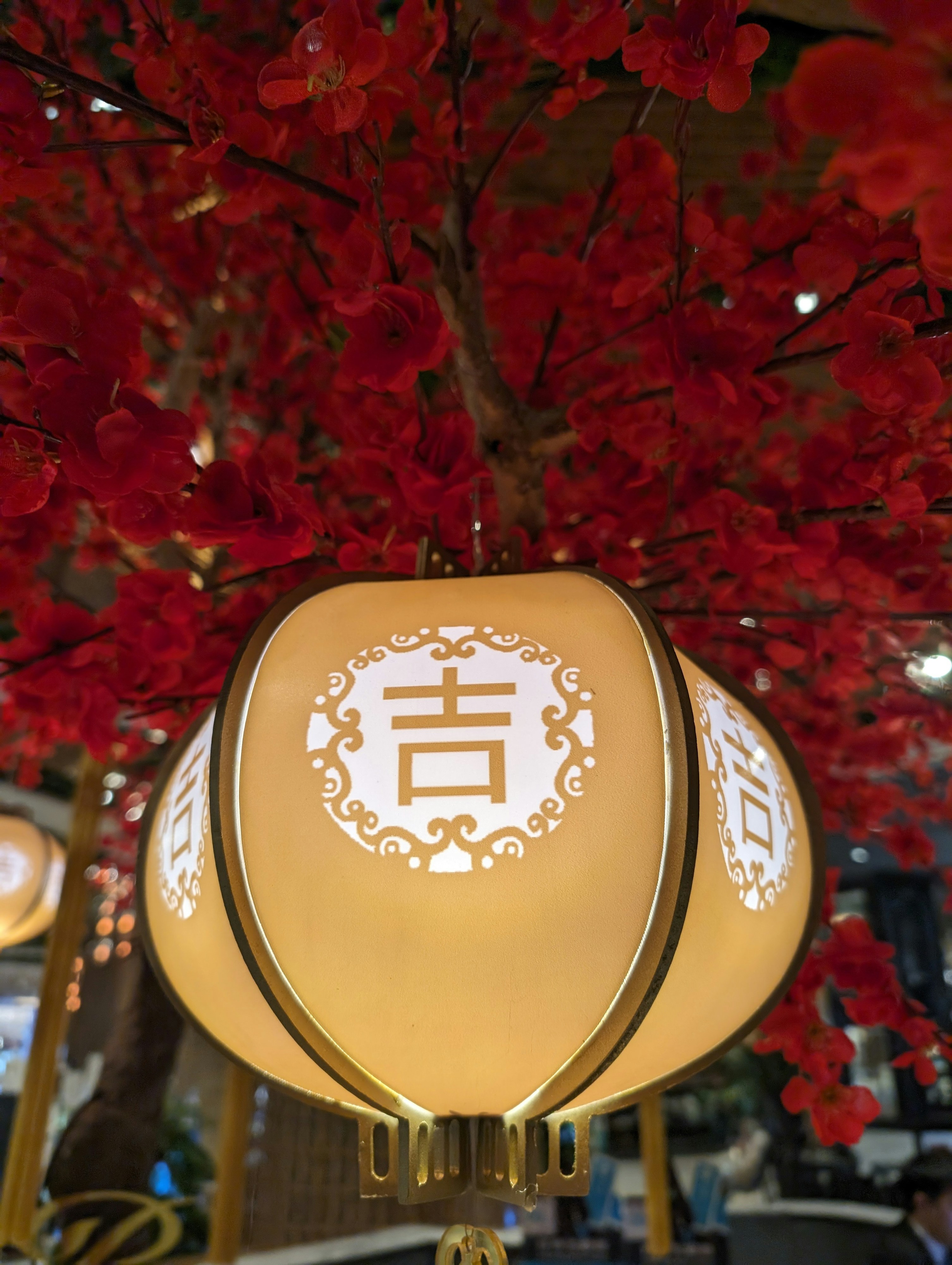 A chinese lantern hanging from a tree with red leaves photo – Free ...